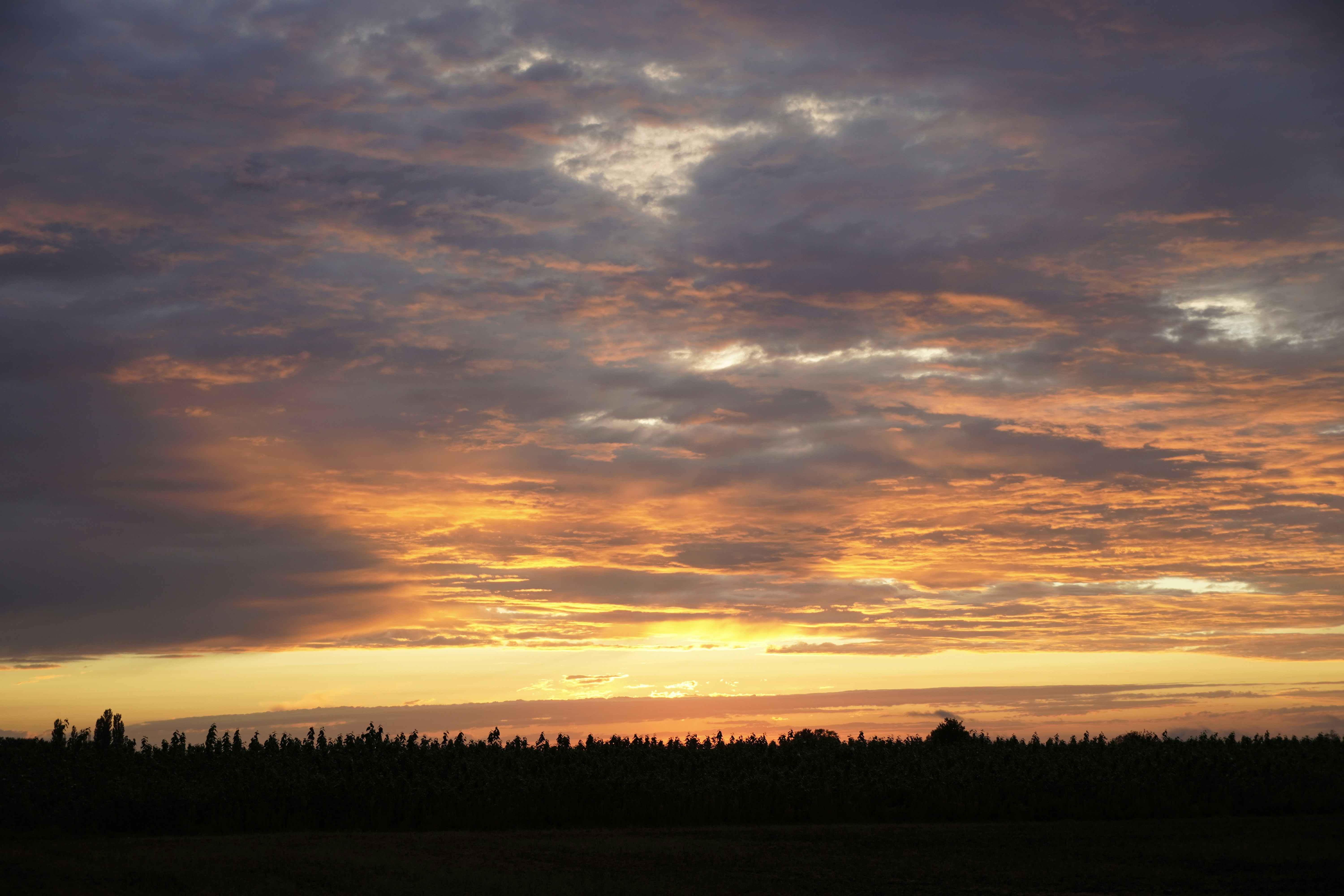 Photo by todorandonov