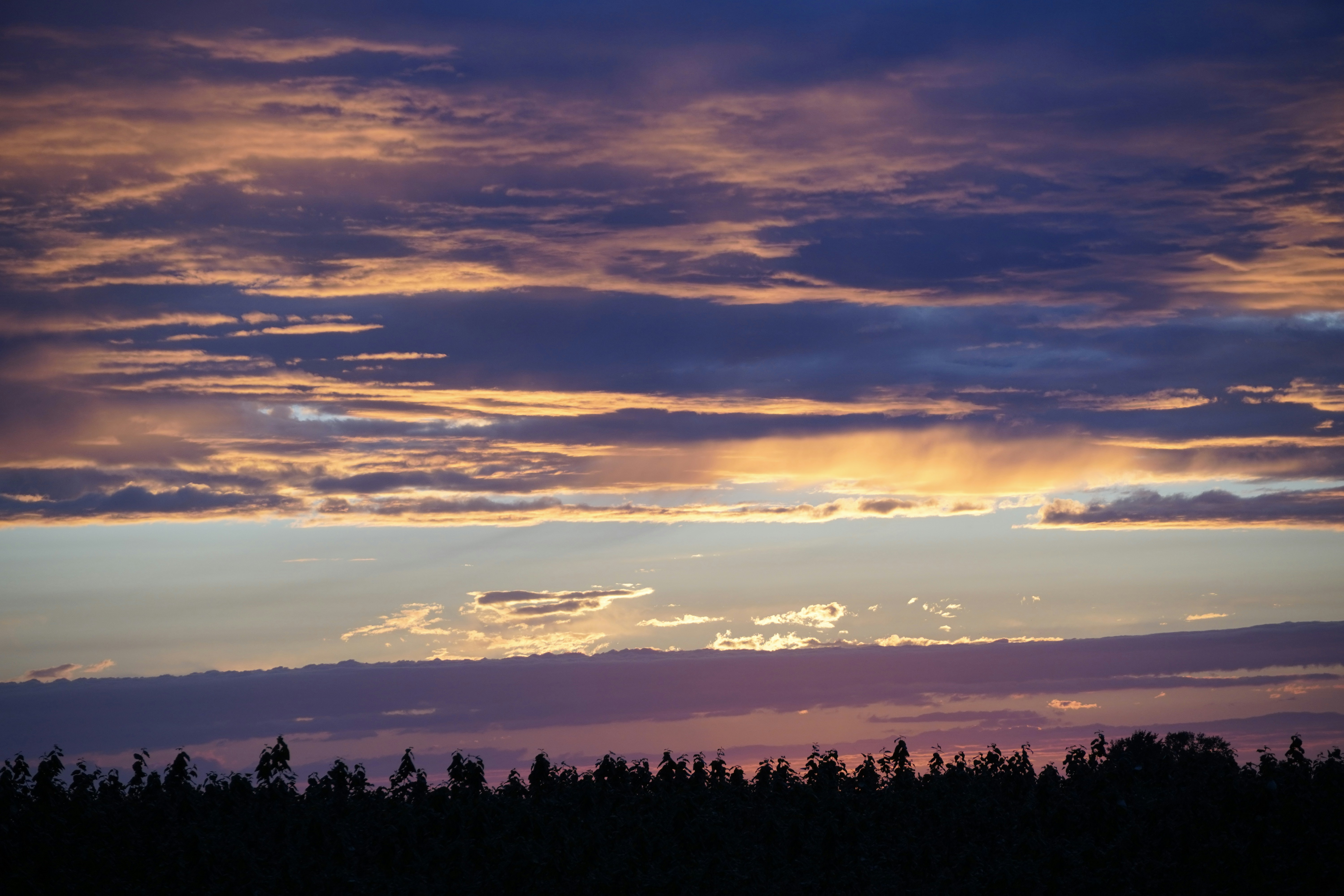 Dramatic sunset clouds over a dark forest silhouette