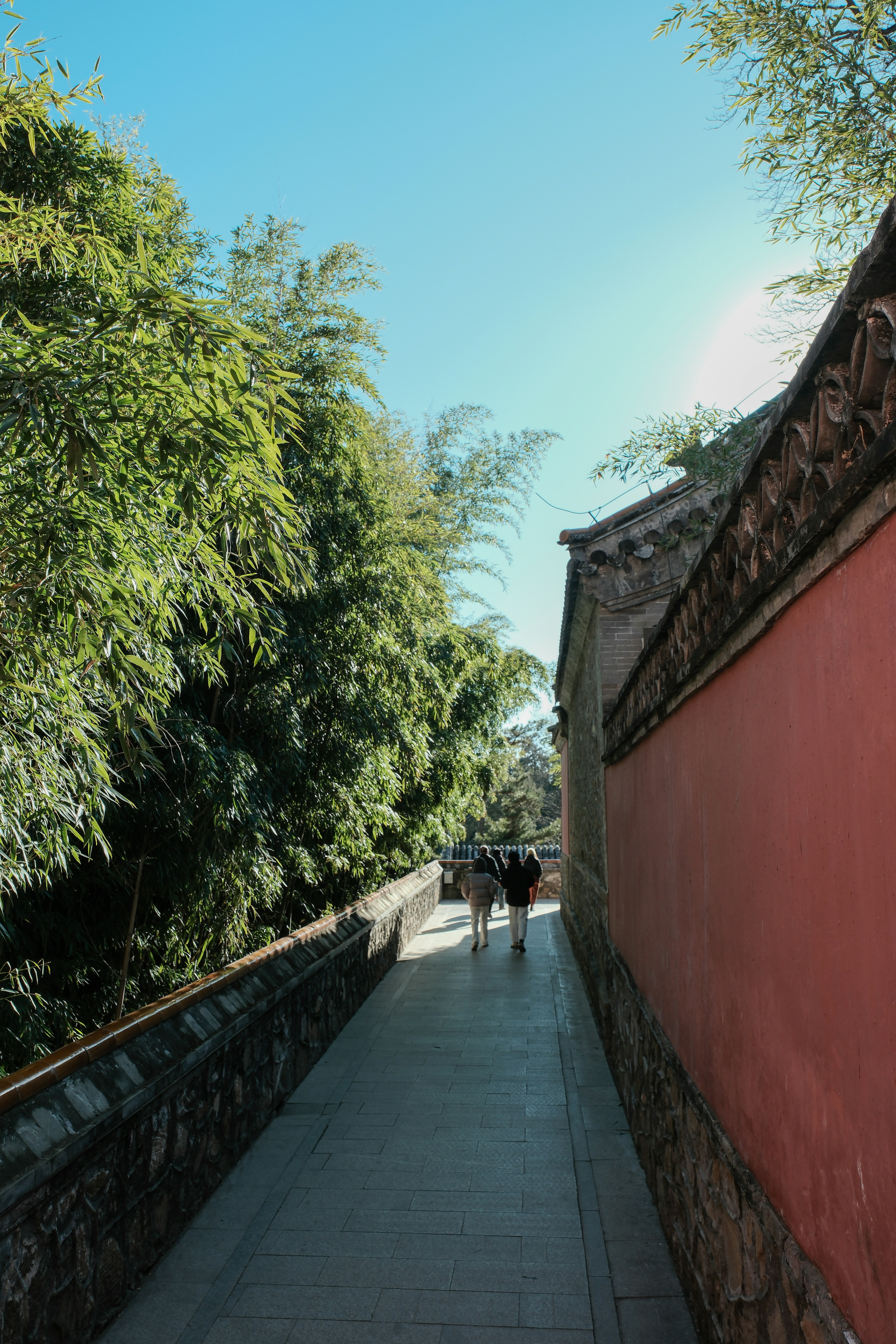 Photo by zhangweihua