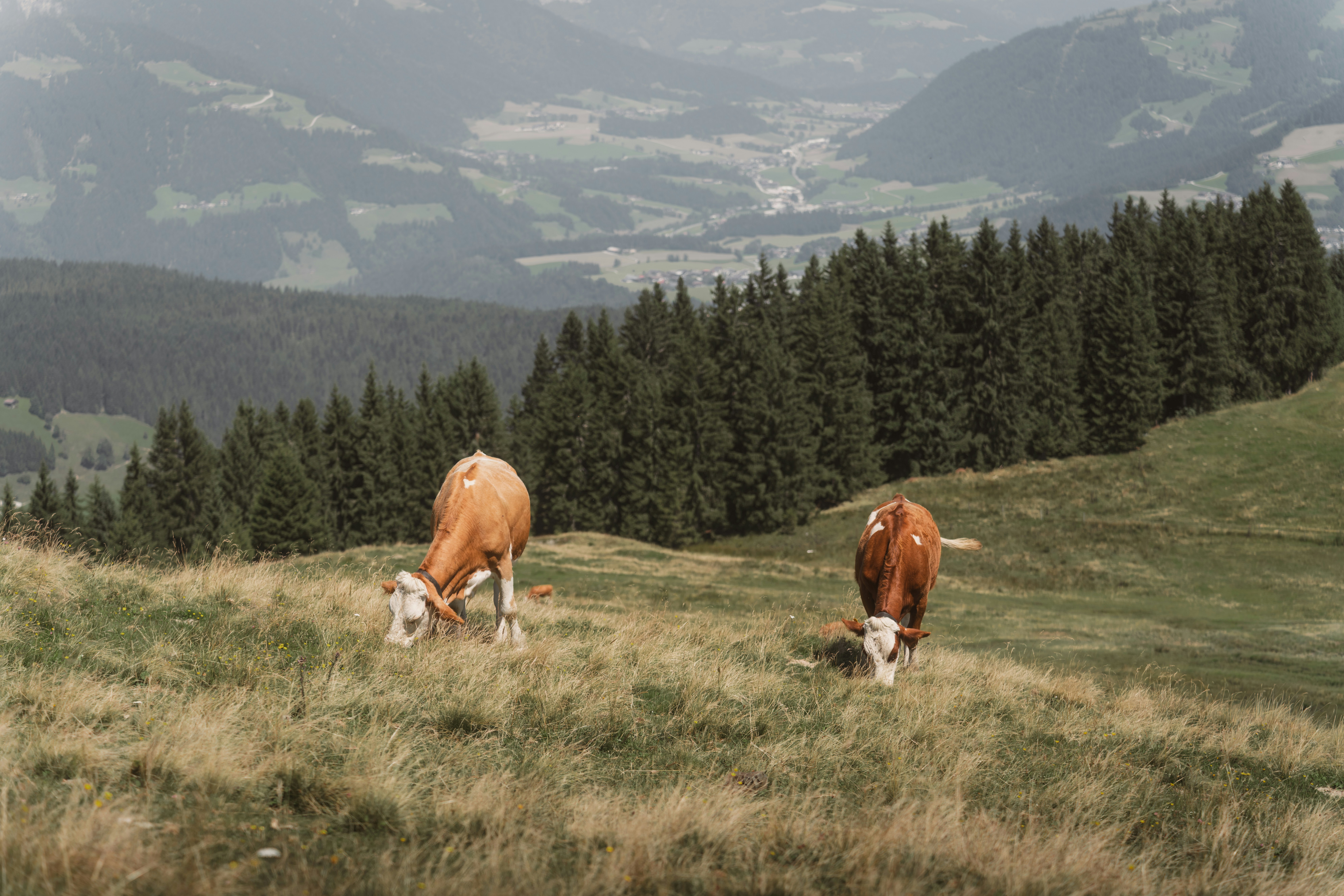 Microcations and Farm Tours: Designing Slow‑Travel Experiences That Sell in 2026