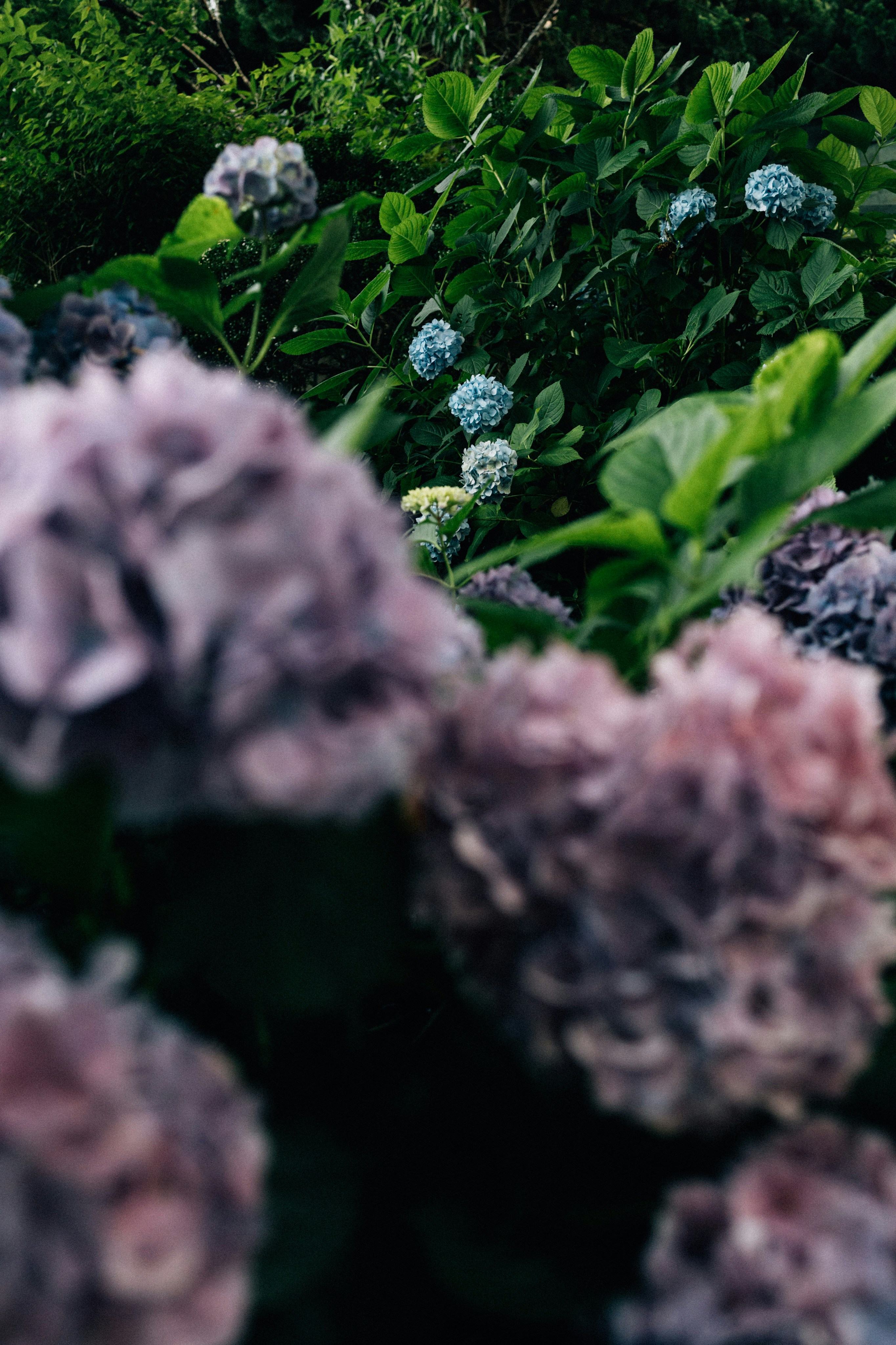 Photo by tsuyoshikozu