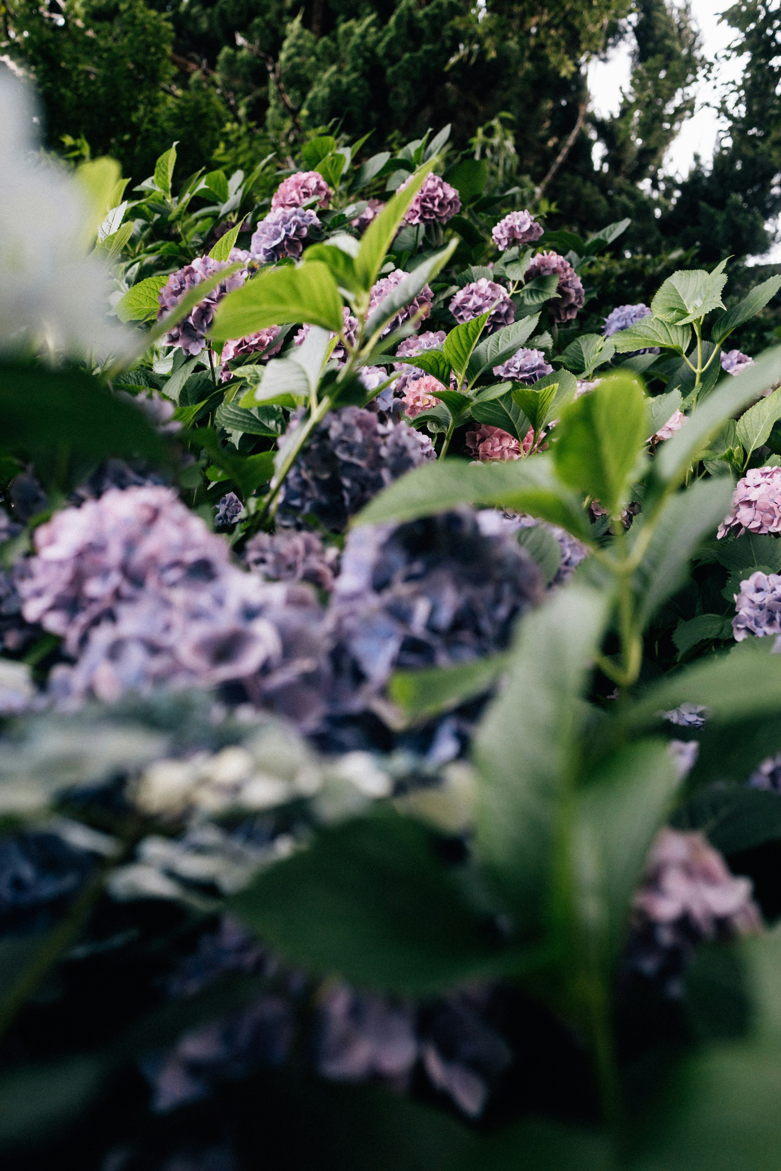 Photo by tsuyoshikozu