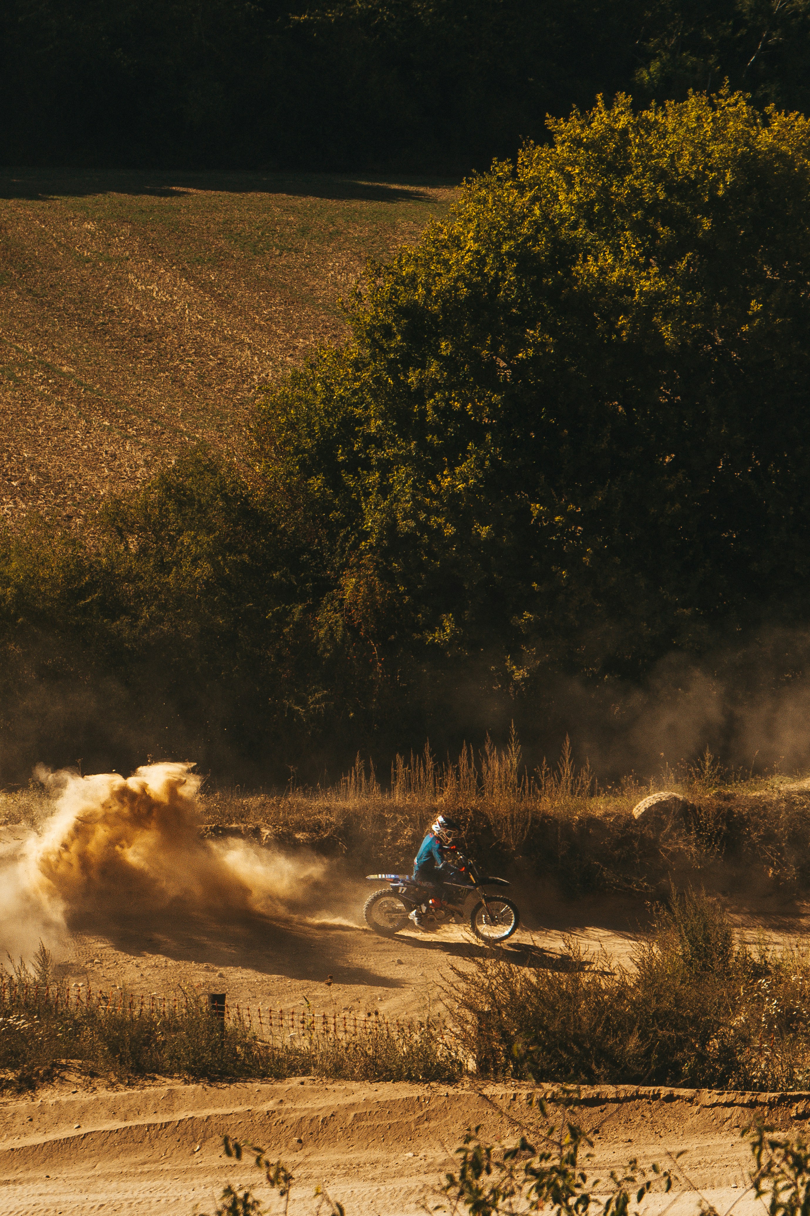 Photo by selmafaitdesphotos