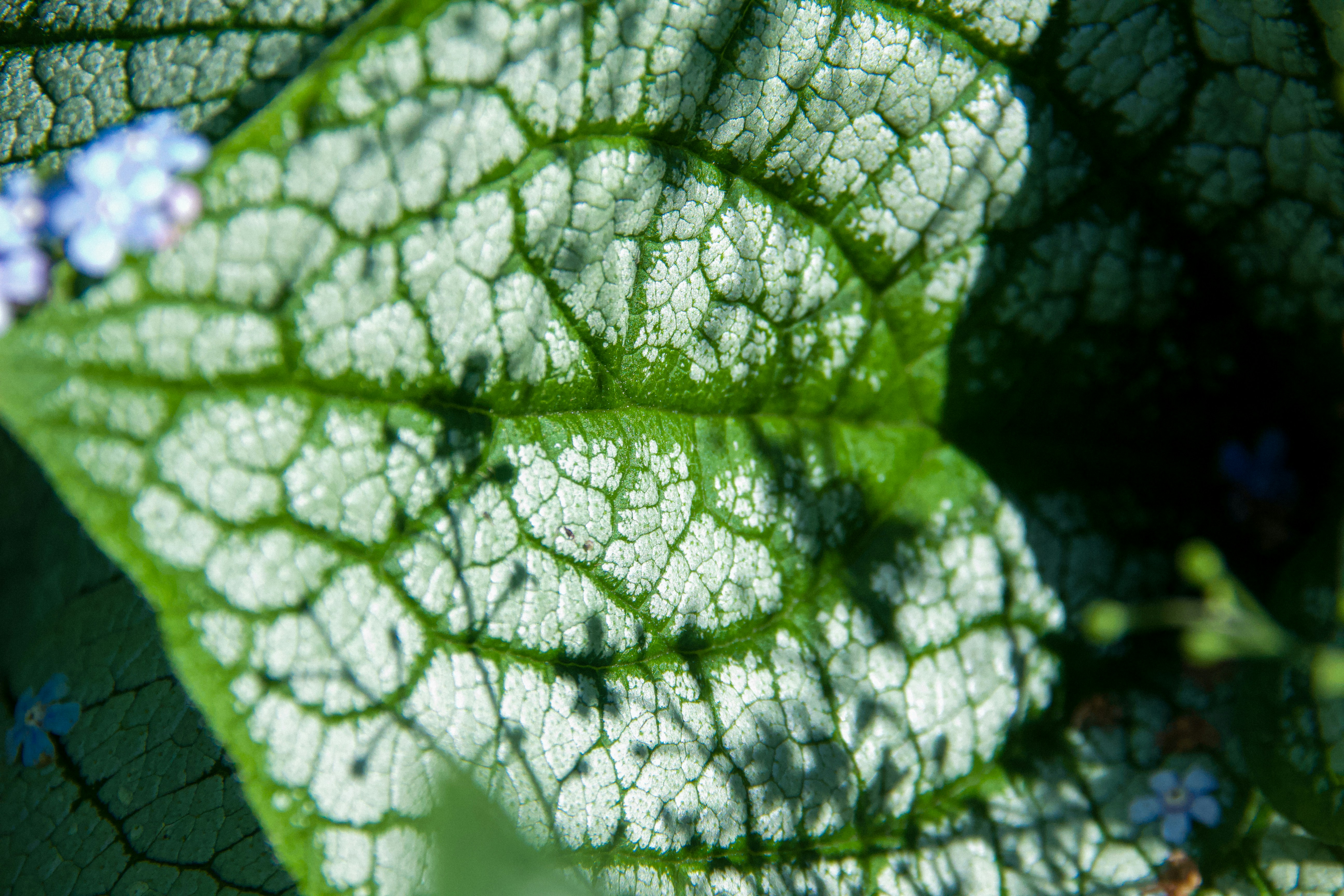 Photo by emilrostrup