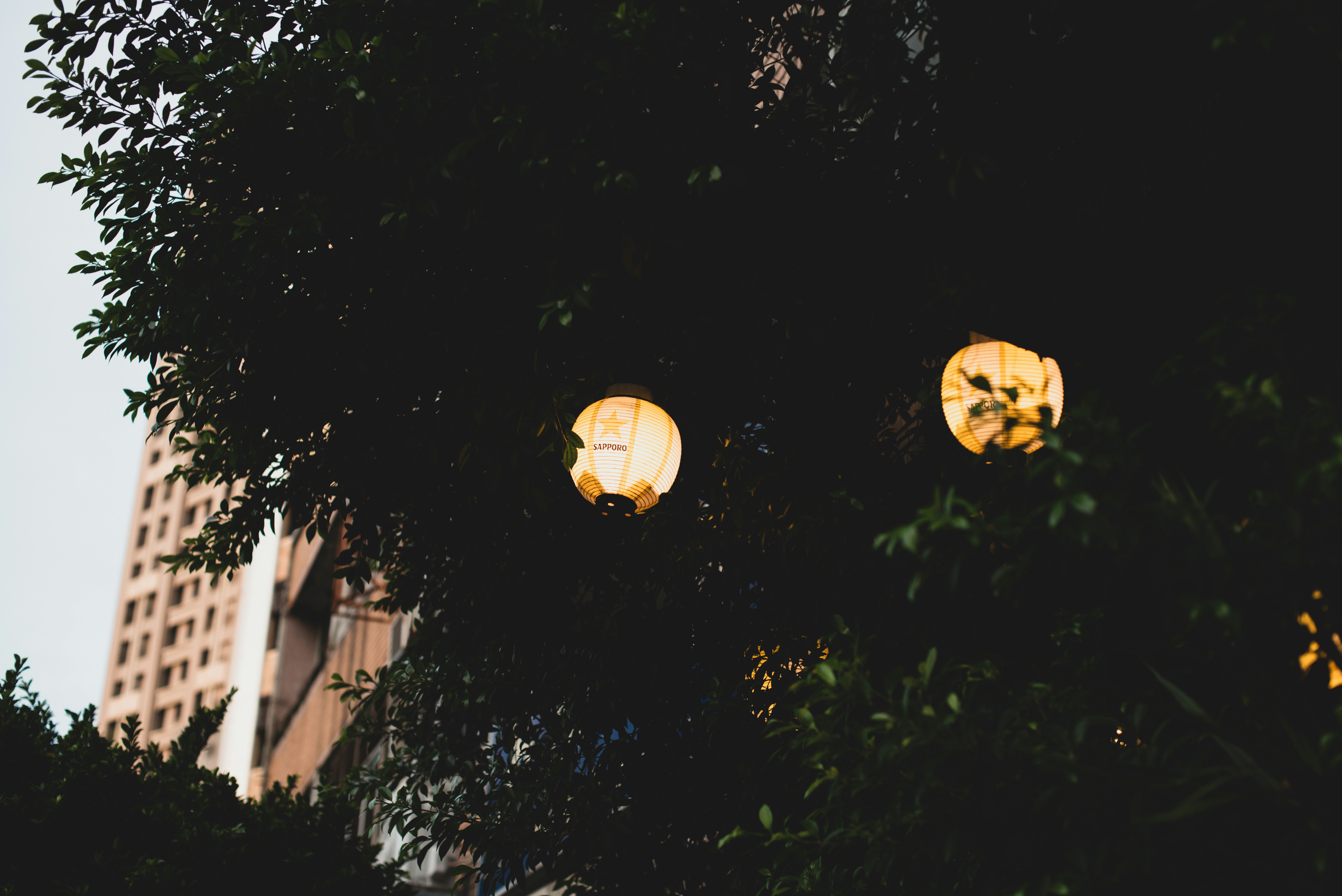 Photo by brian223810