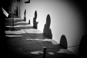 Shadows cast on a wall in a hallway.