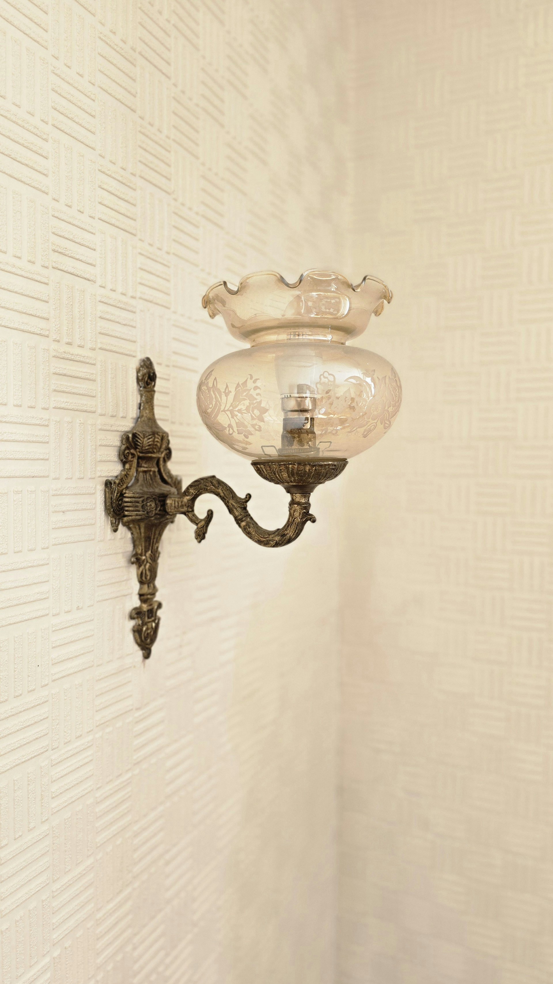 Photo by luanfonsecavisuals