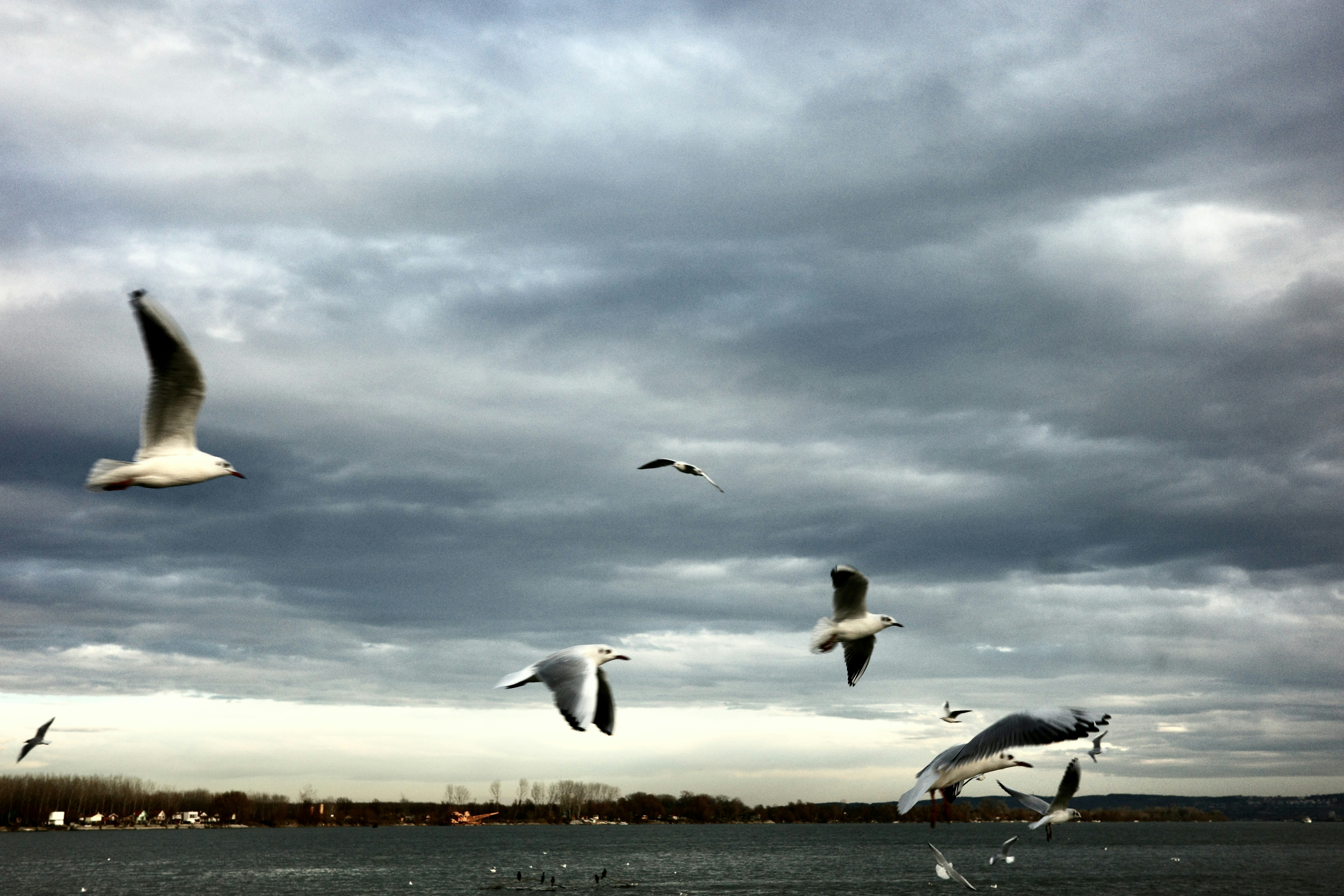 Photo by dmitrii_filatov
