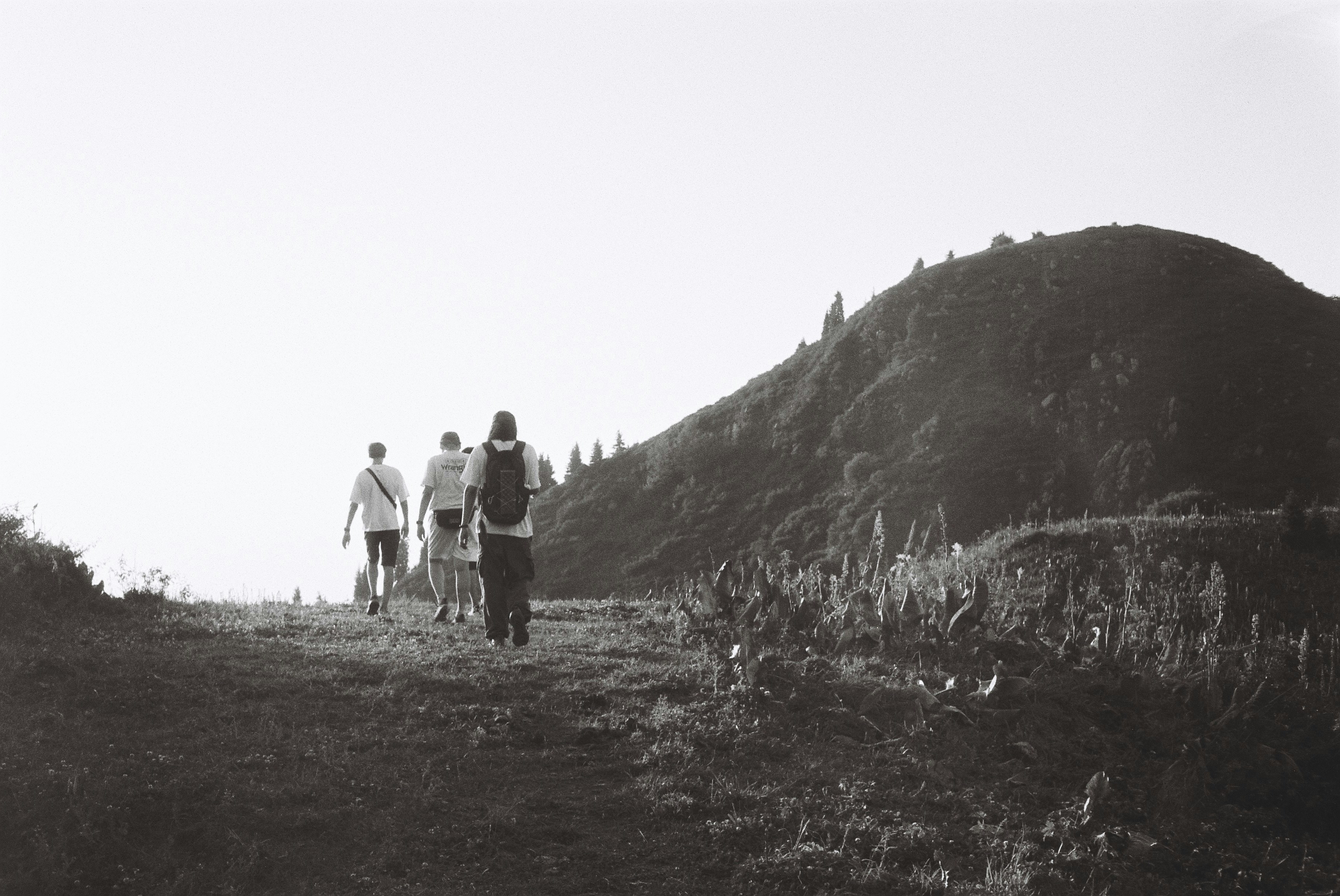 Photo by dmitrii_filatov