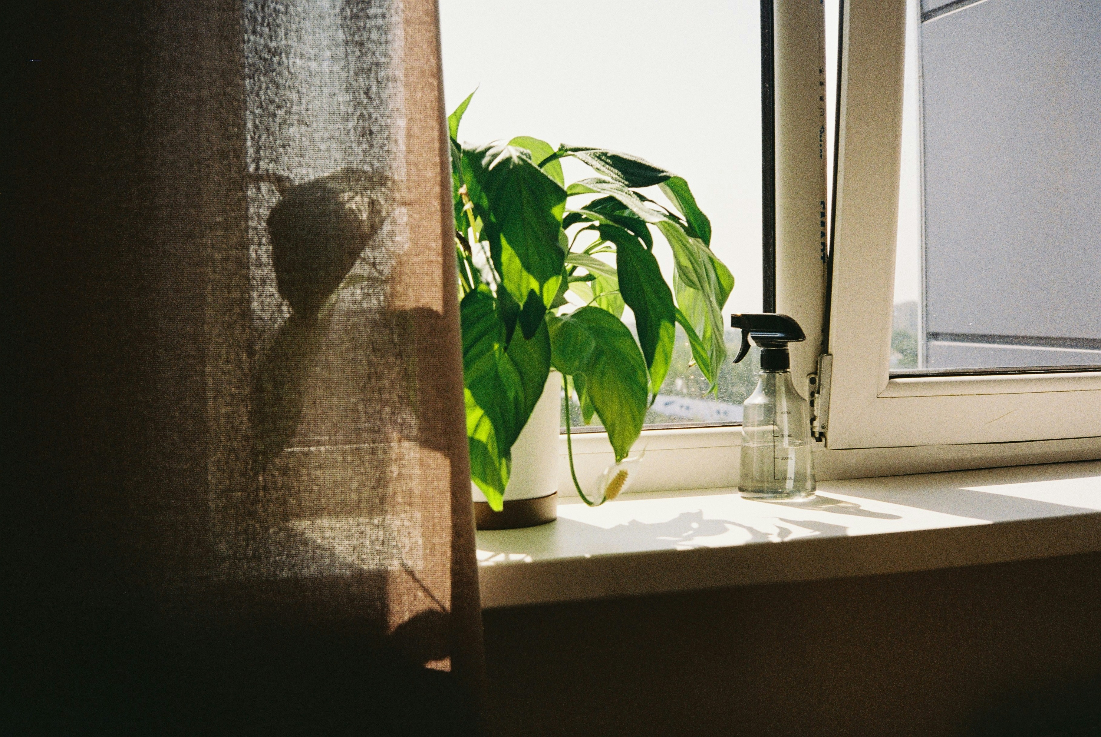 Photo by dmitrii_filatov