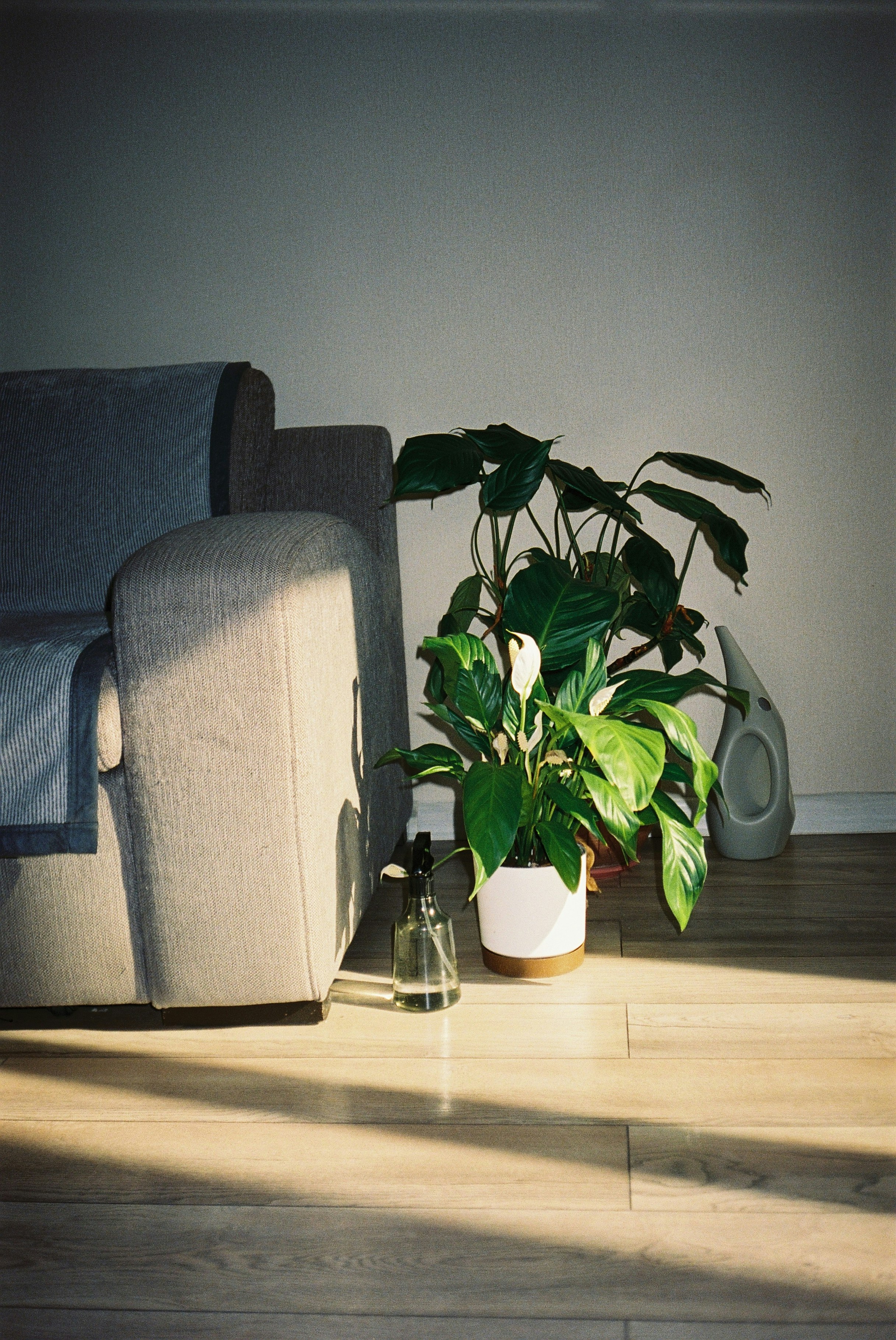 Photo by dmitrii_filatov