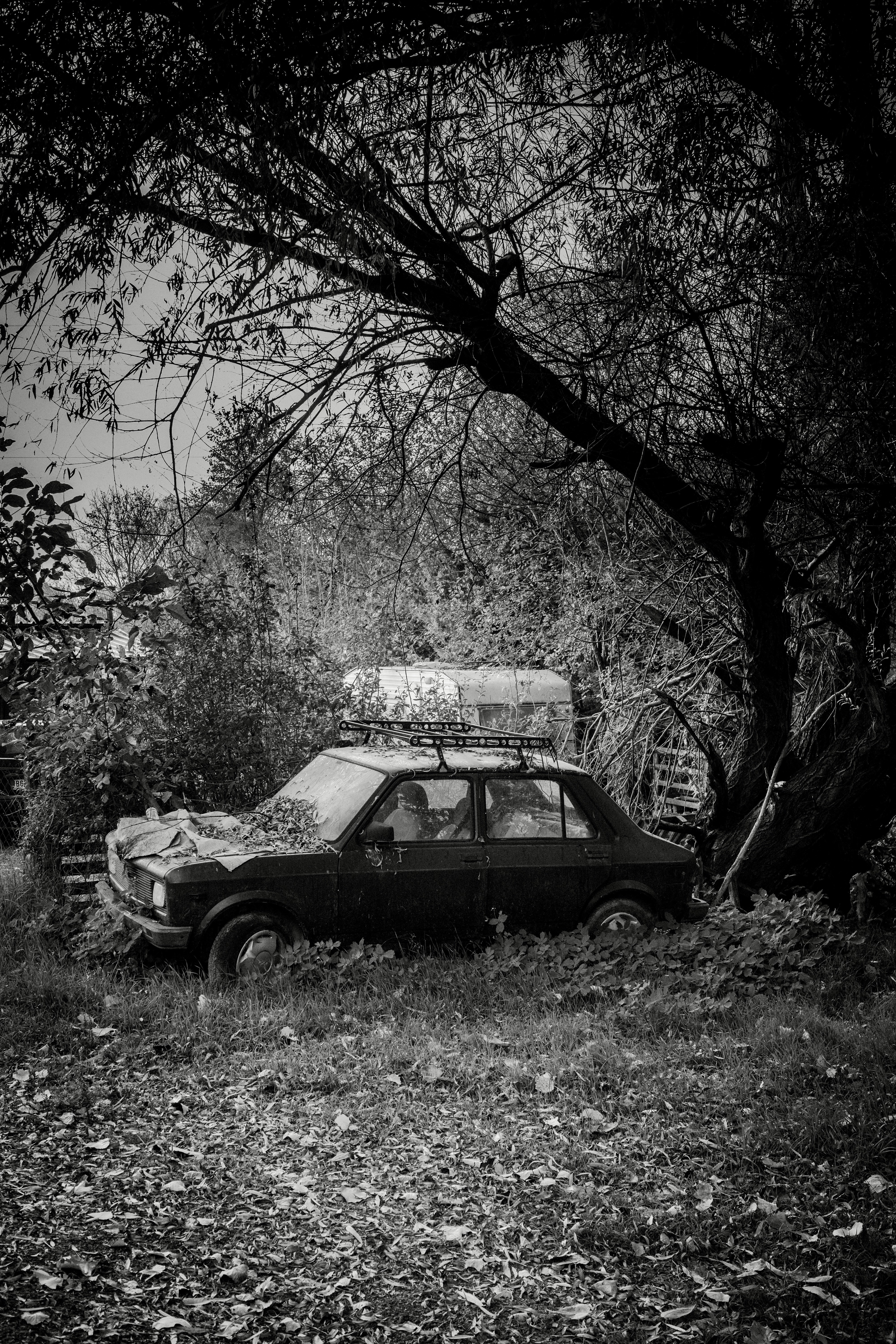 Photo by dmitrii_filatov