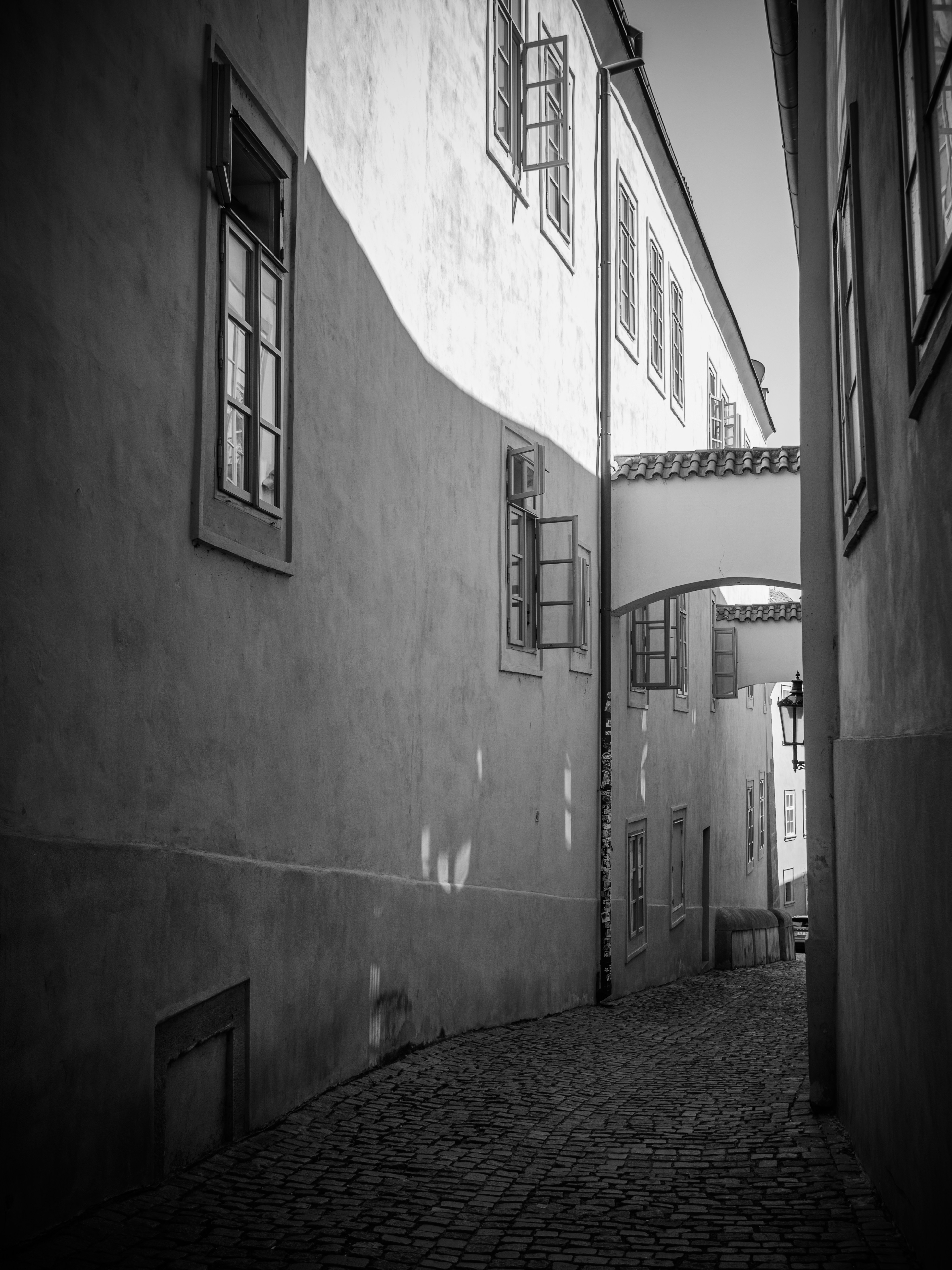 Photo by gregwillson