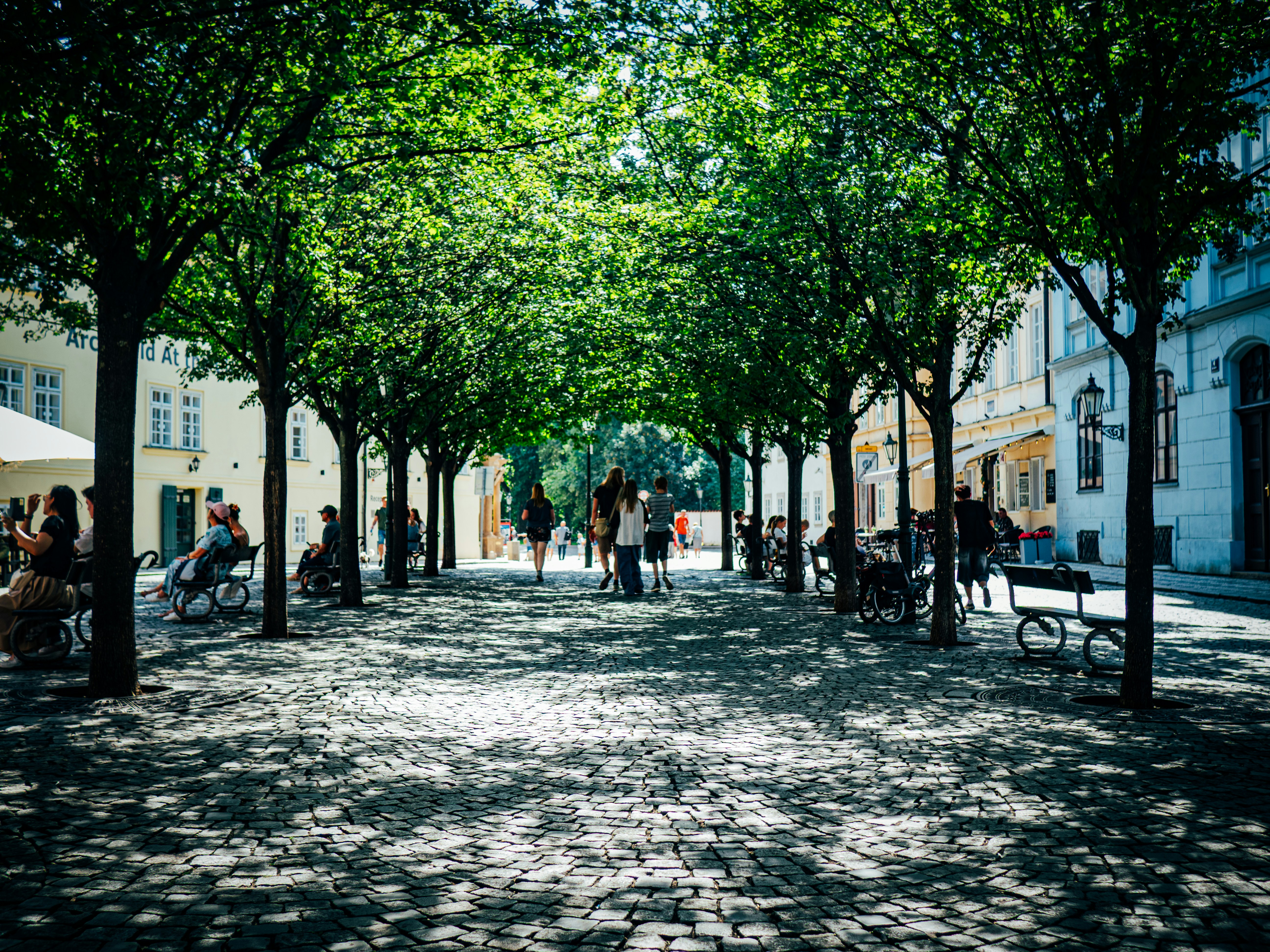 Photo by gregwillson