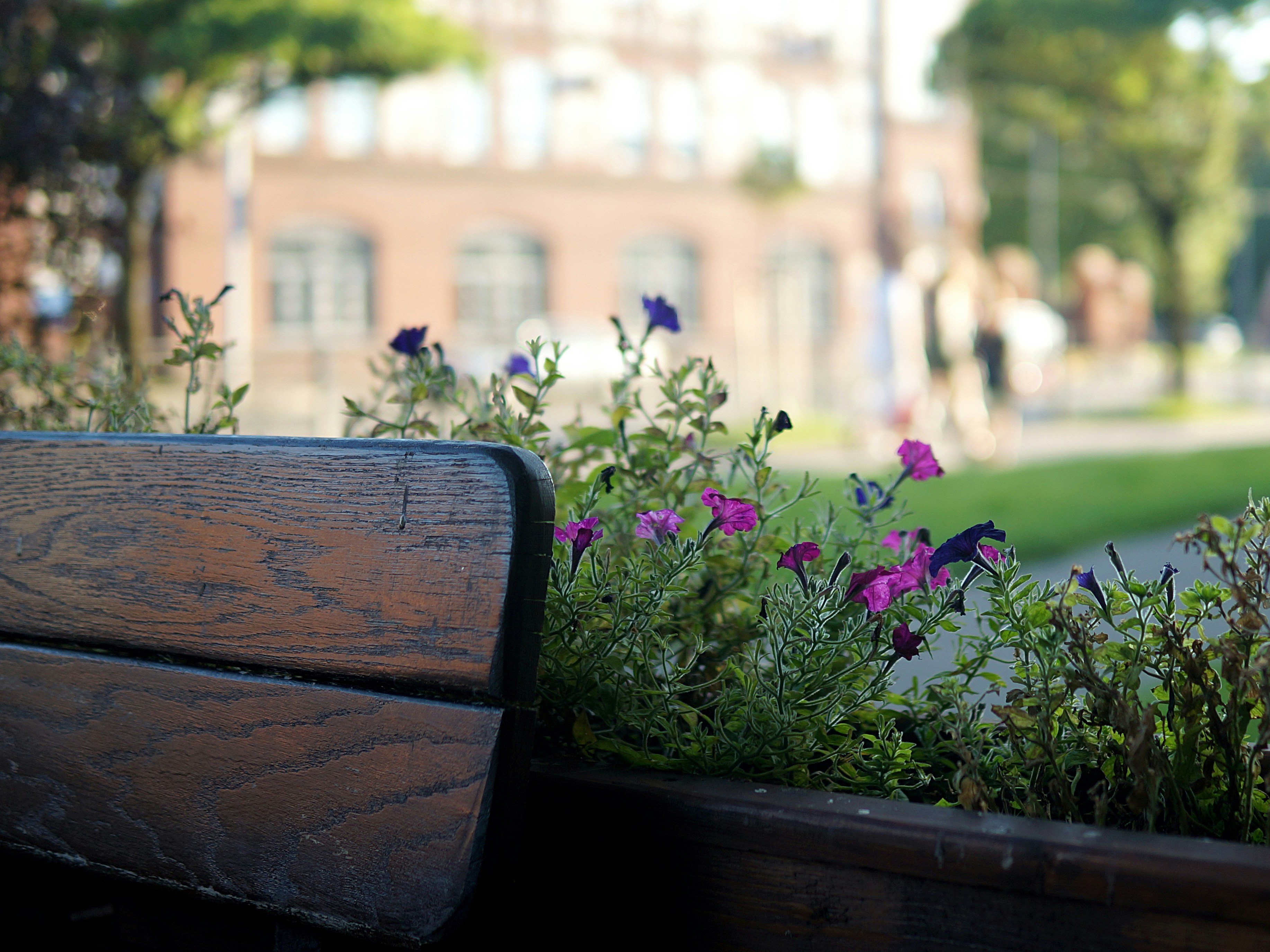 Navigating Change: Adapting Print Strategies Amidst Industry Shifts