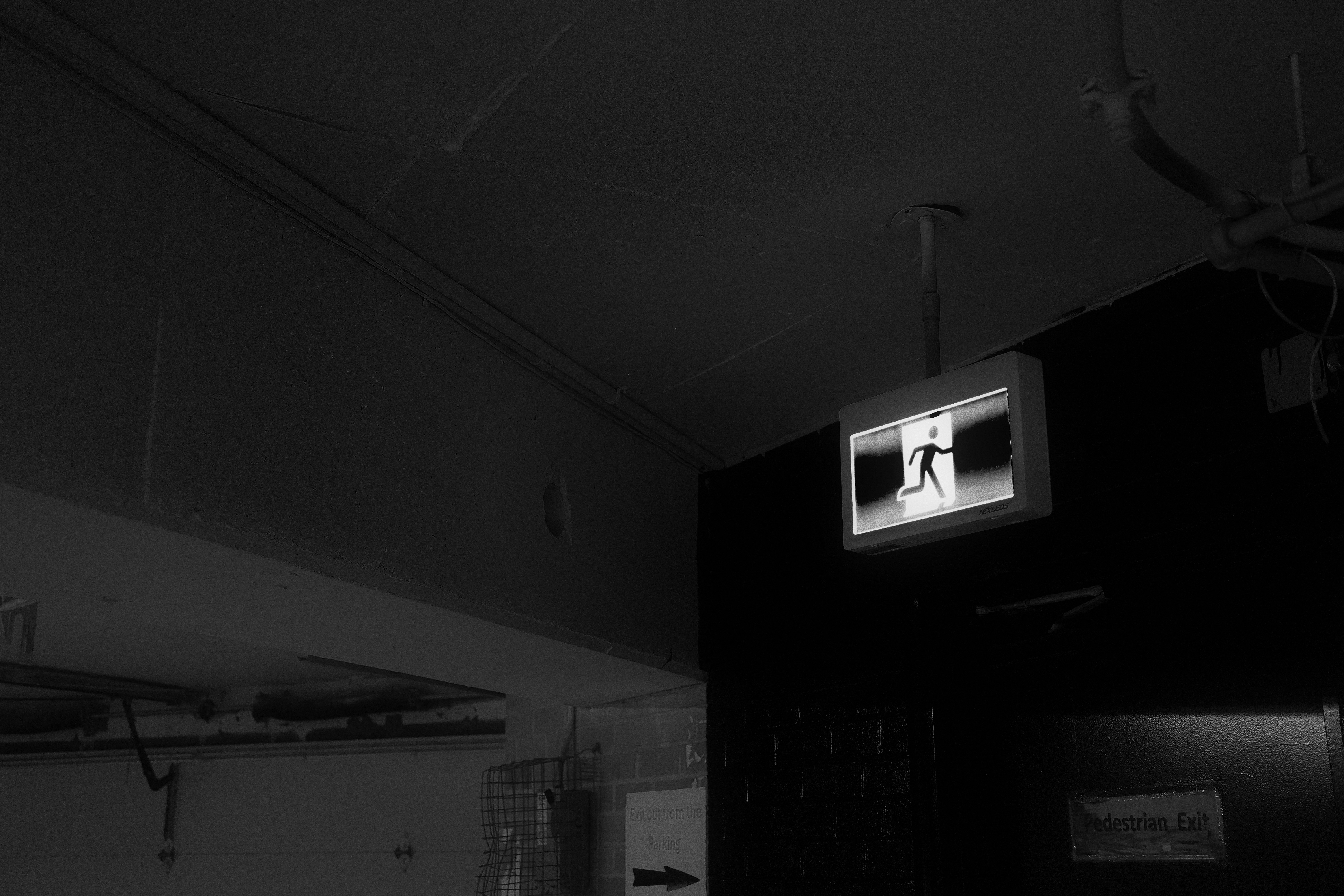 공공 API로 자동화된 분석 시스템 만드는 과정