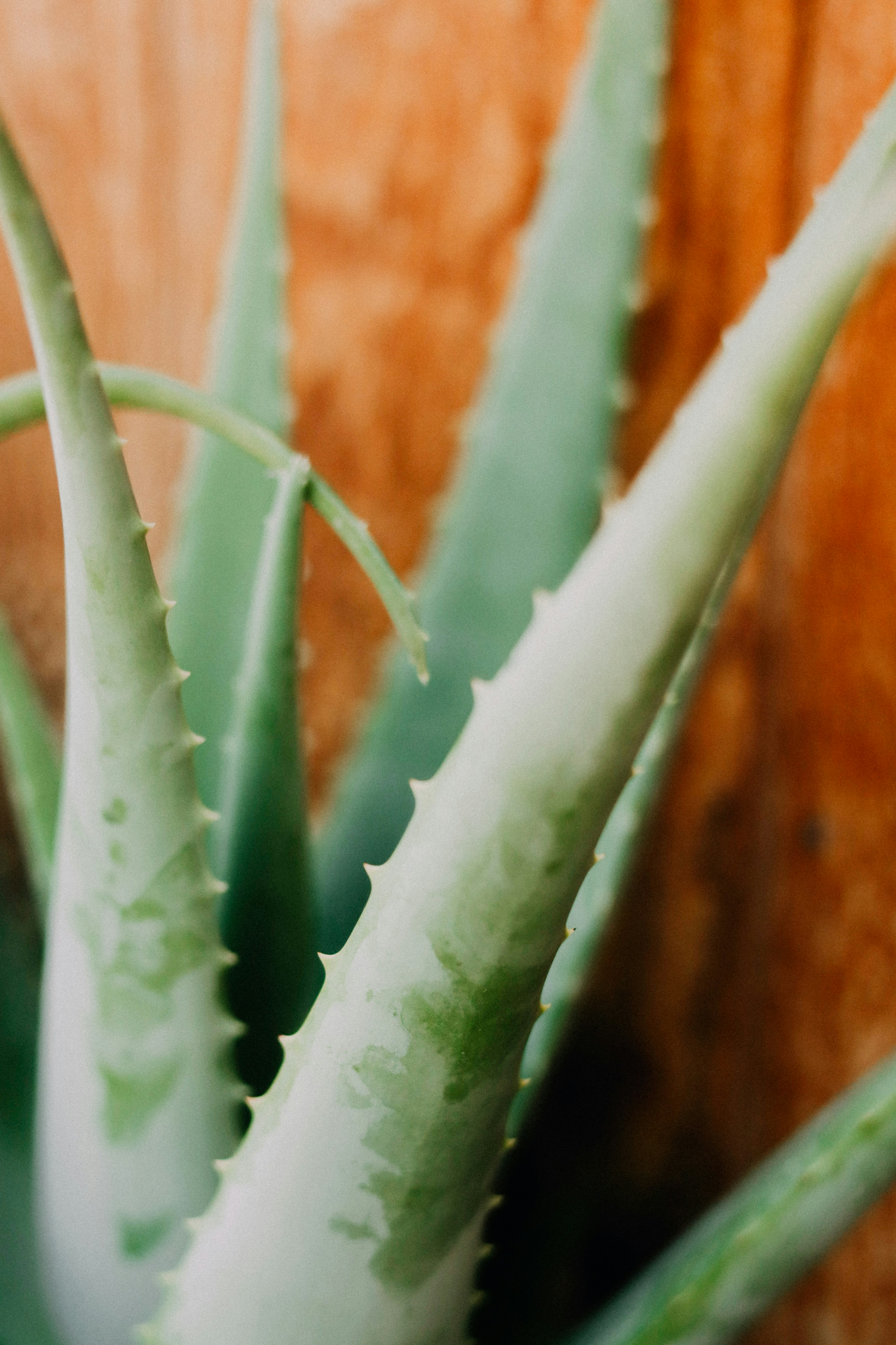 Photo by lululovering