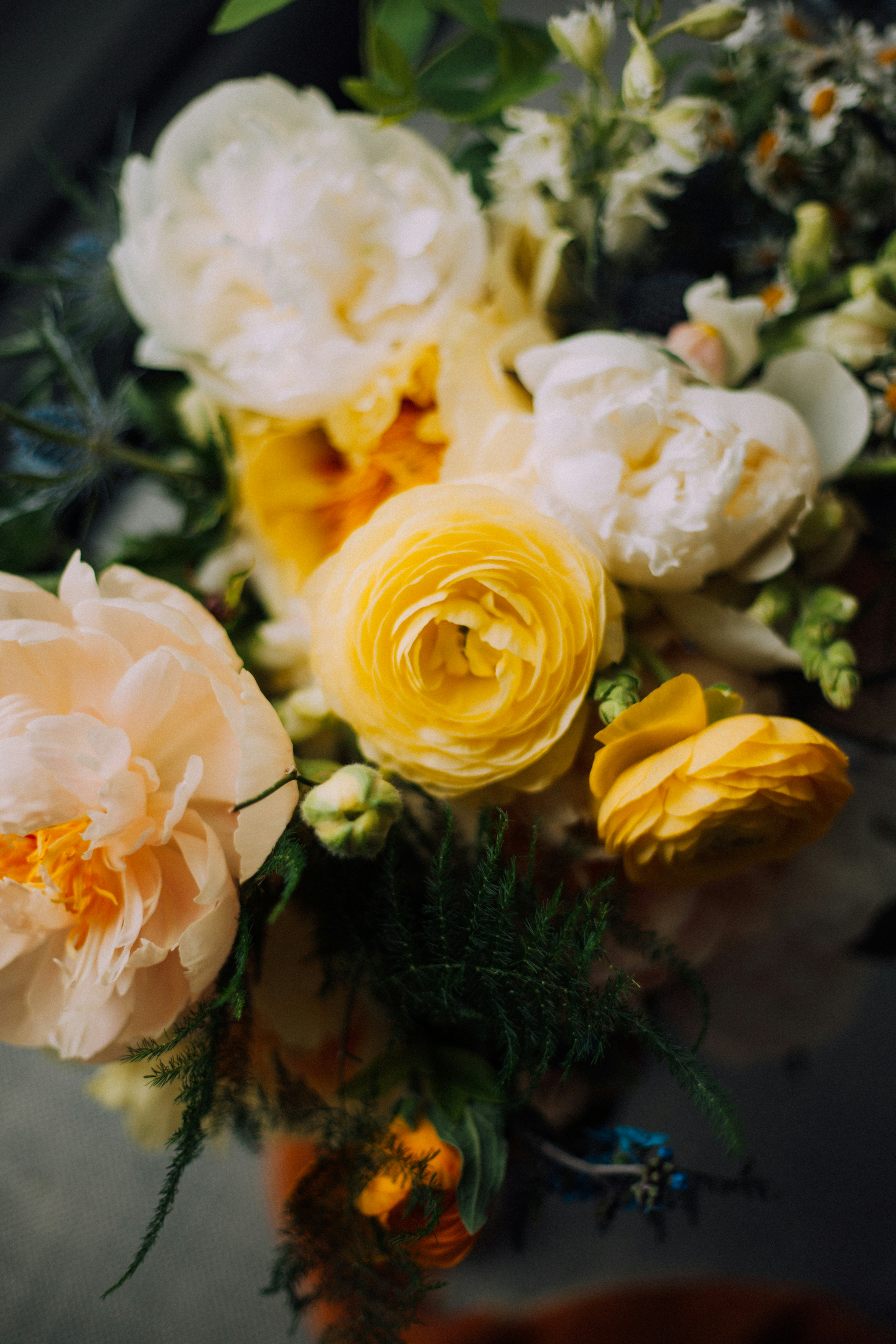 Photo by lululovering