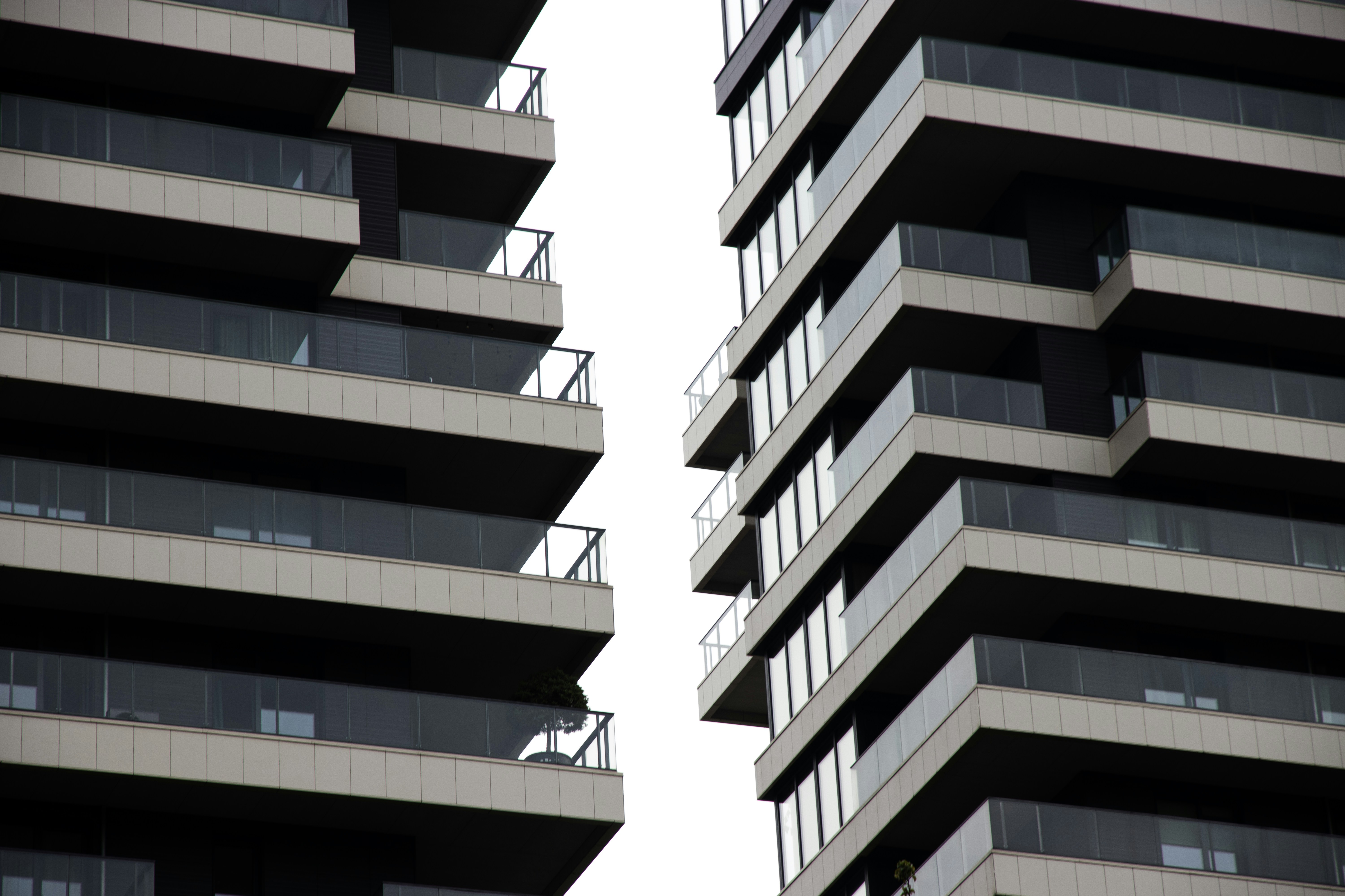 Photo by reinisbruzitis