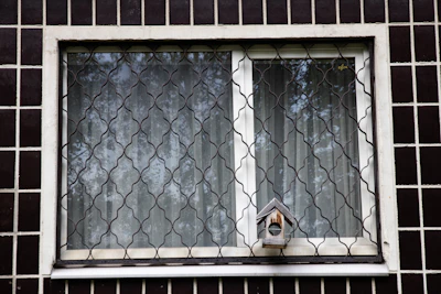 Window with security bars and birdhouse