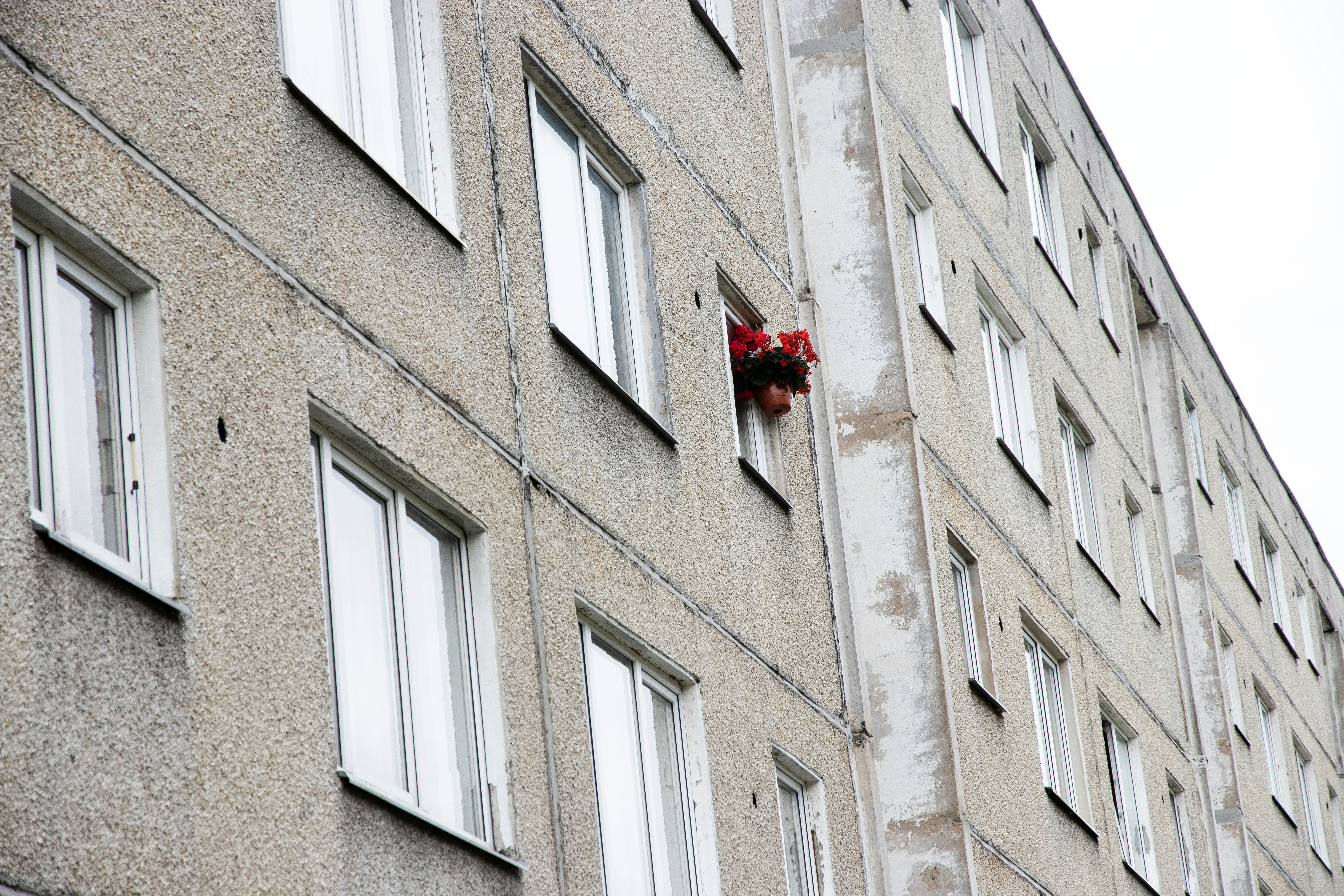 マンションの窓からぶら下がっている赤い花