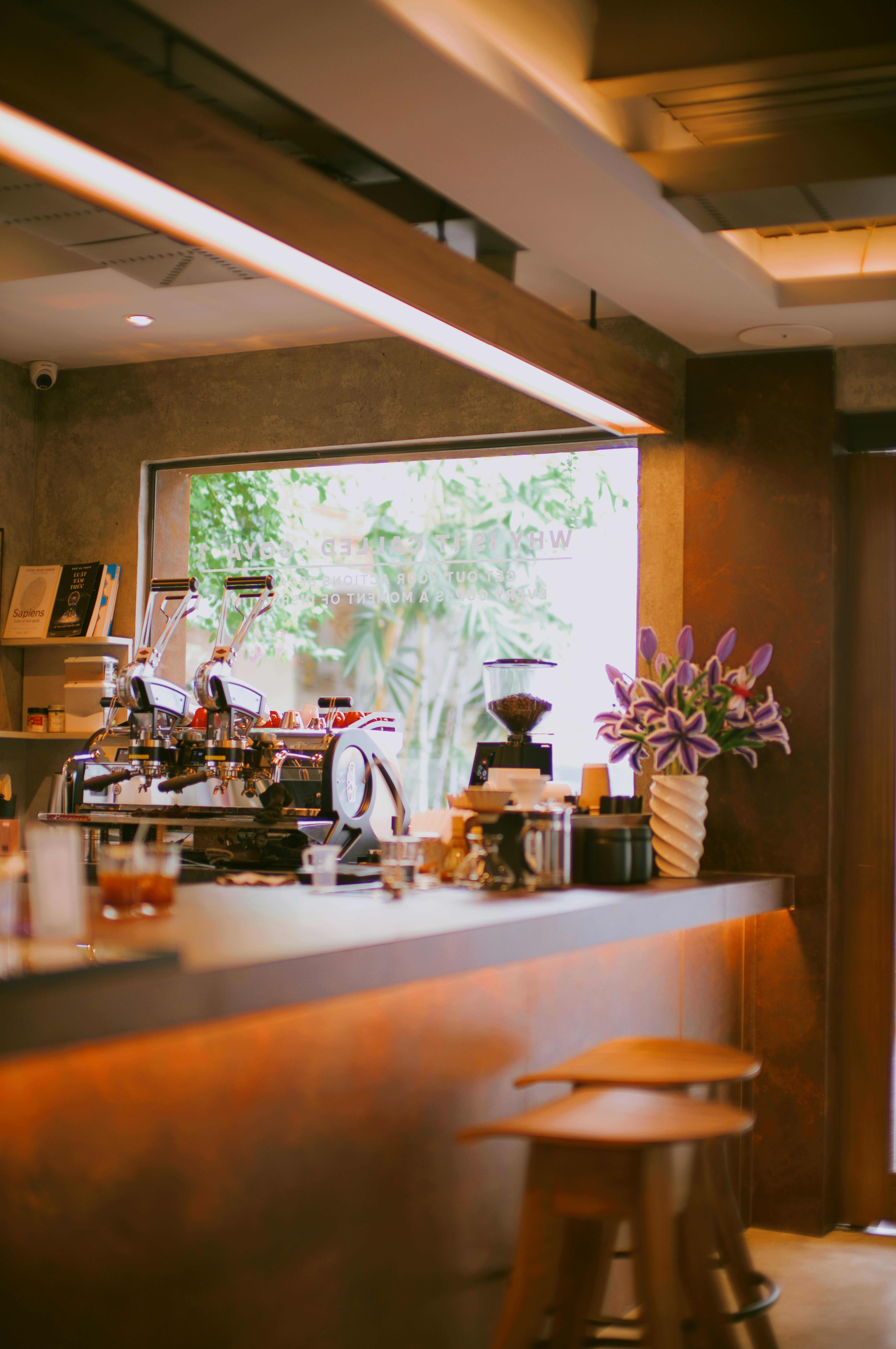 Photo by dungpham304