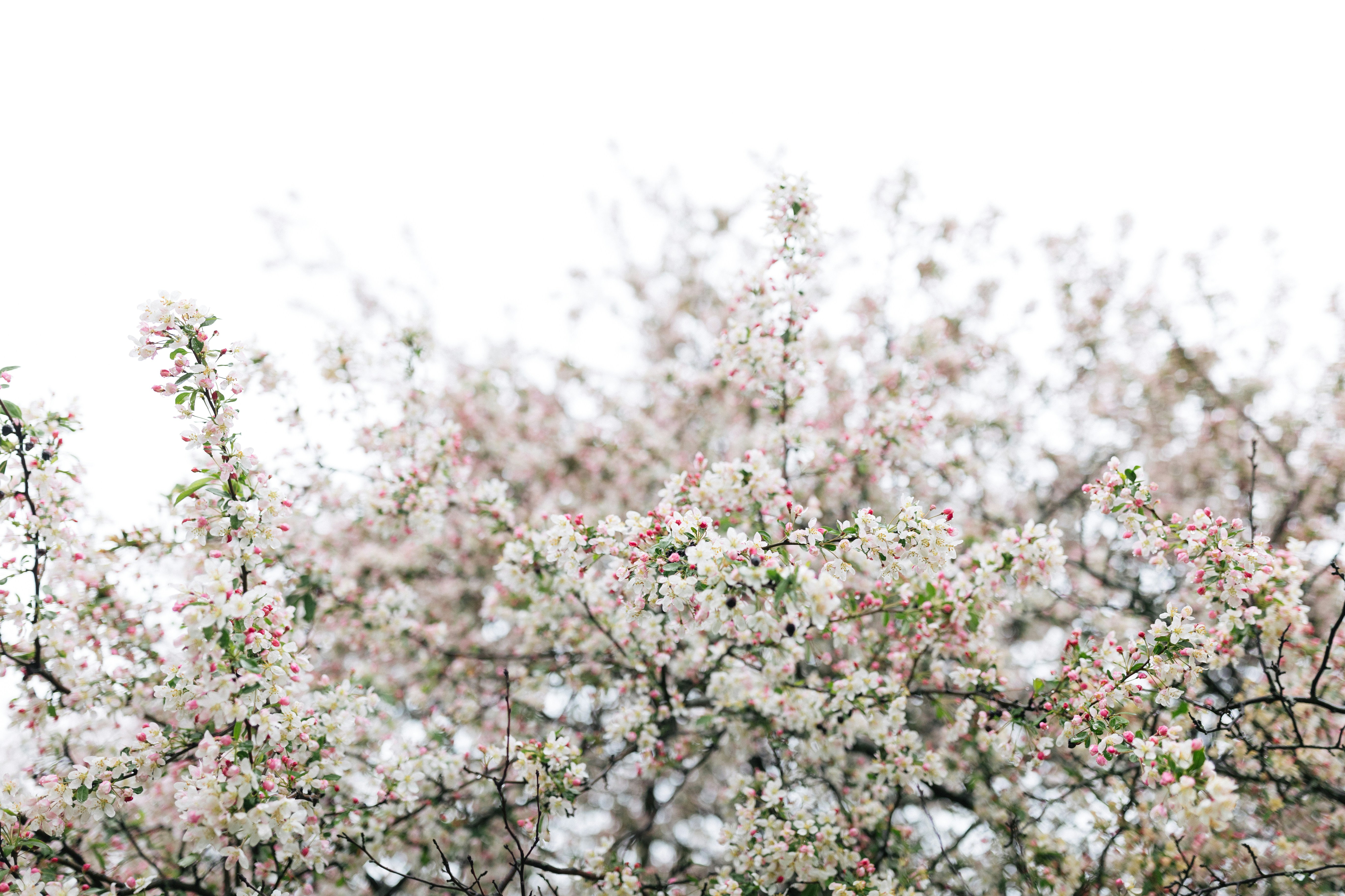 Photo by maddyhuntphoto