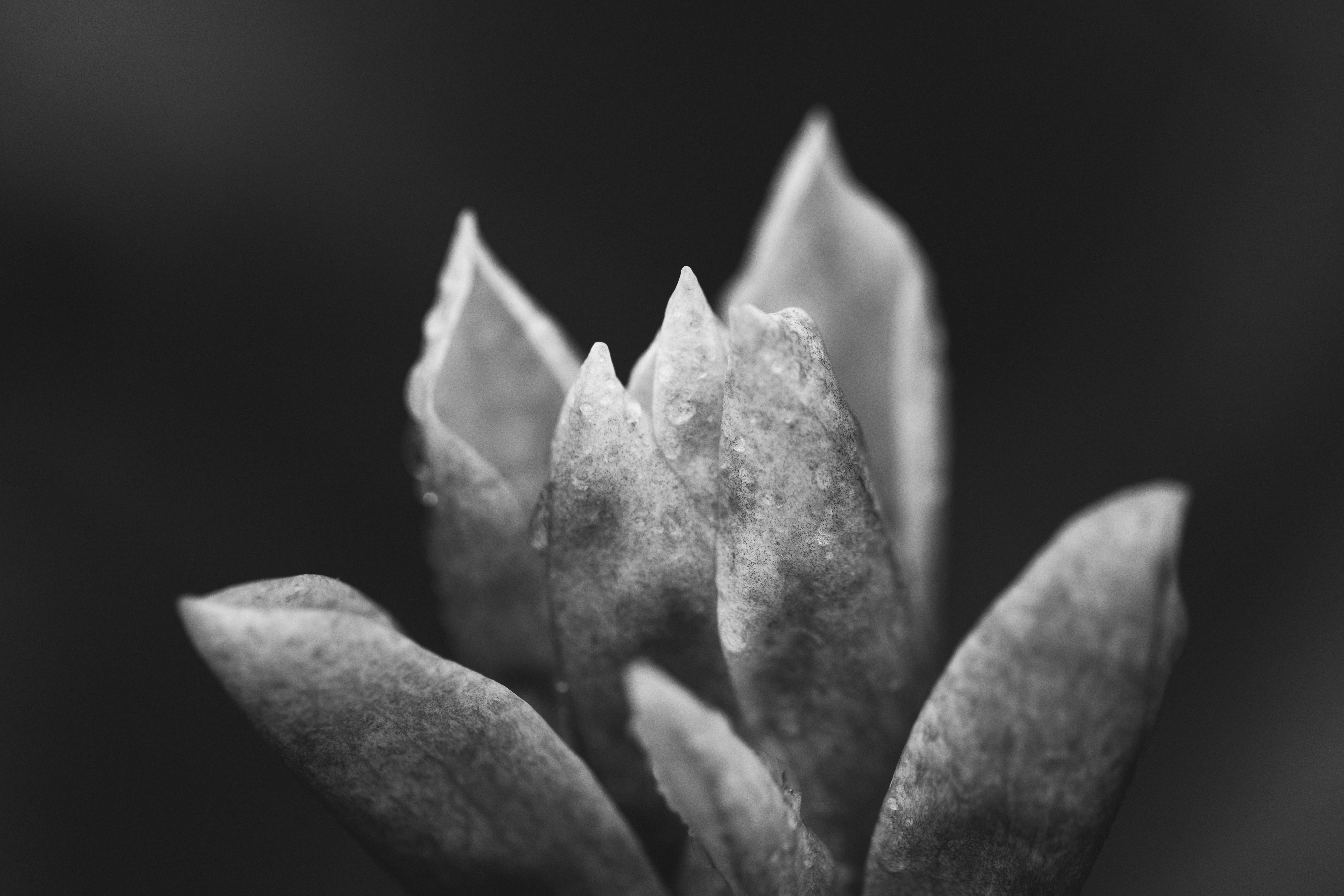 Photo by maddyhuntphoto