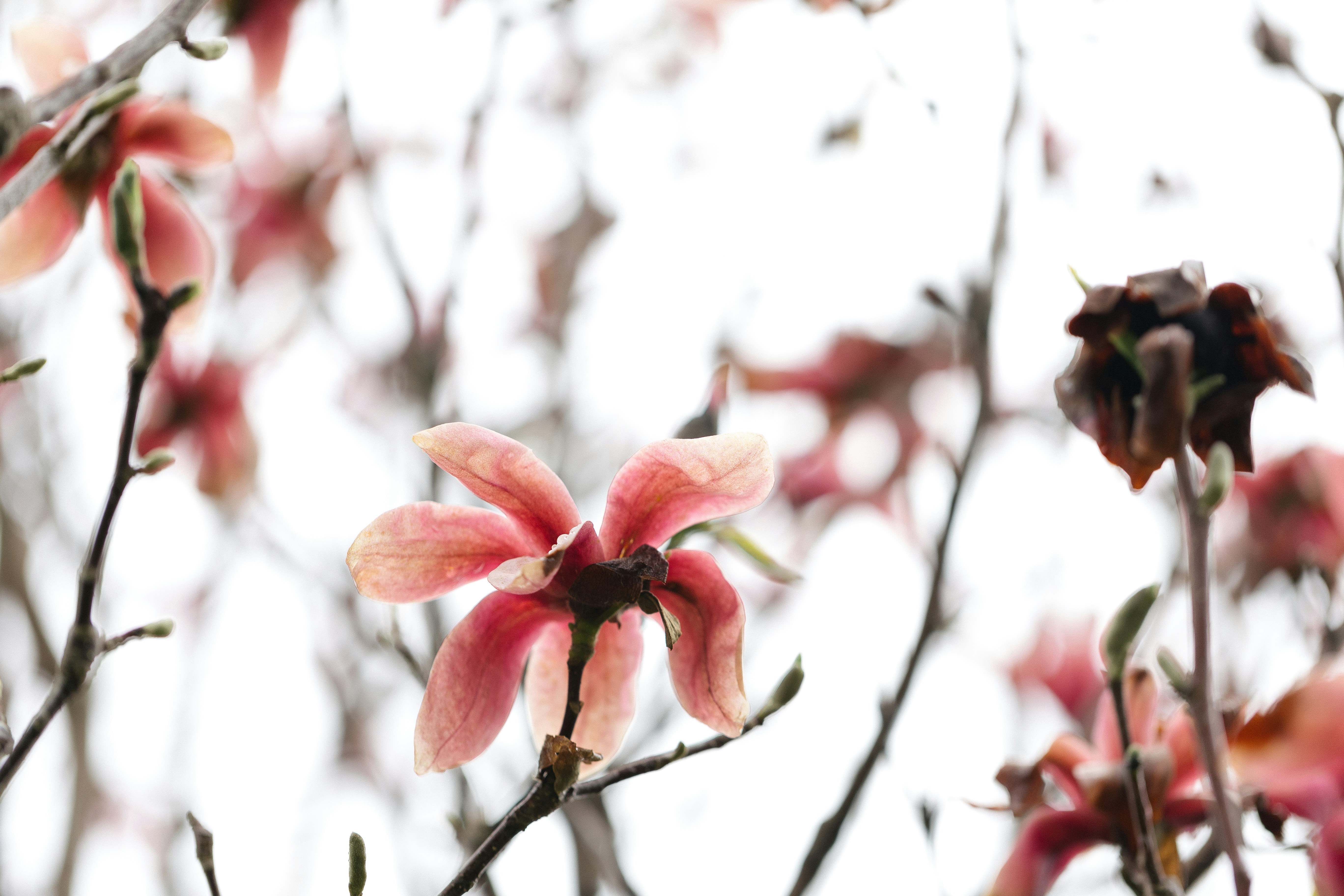 Photo by maddyhuntphoto