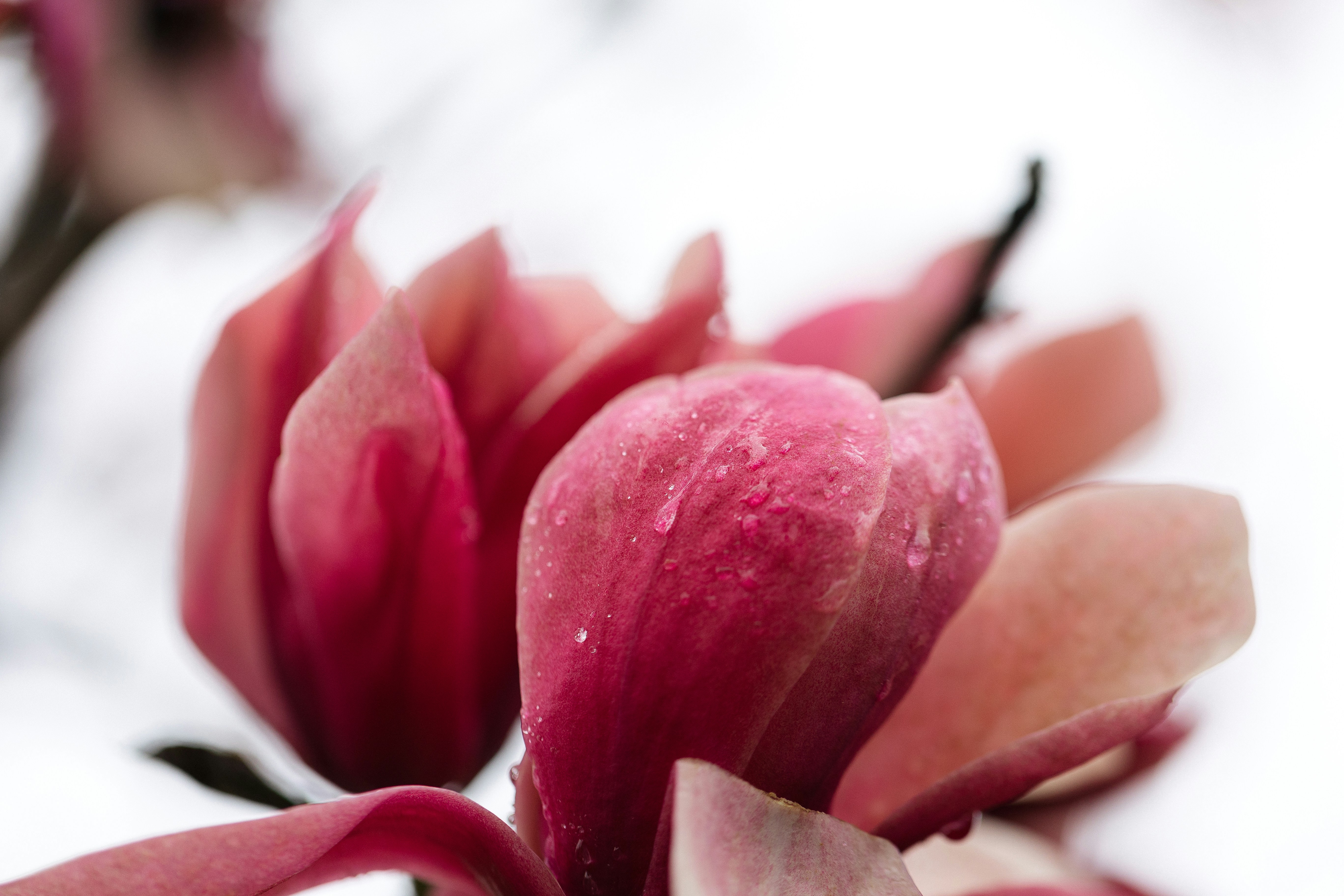 Photo by maddyhuntphoto