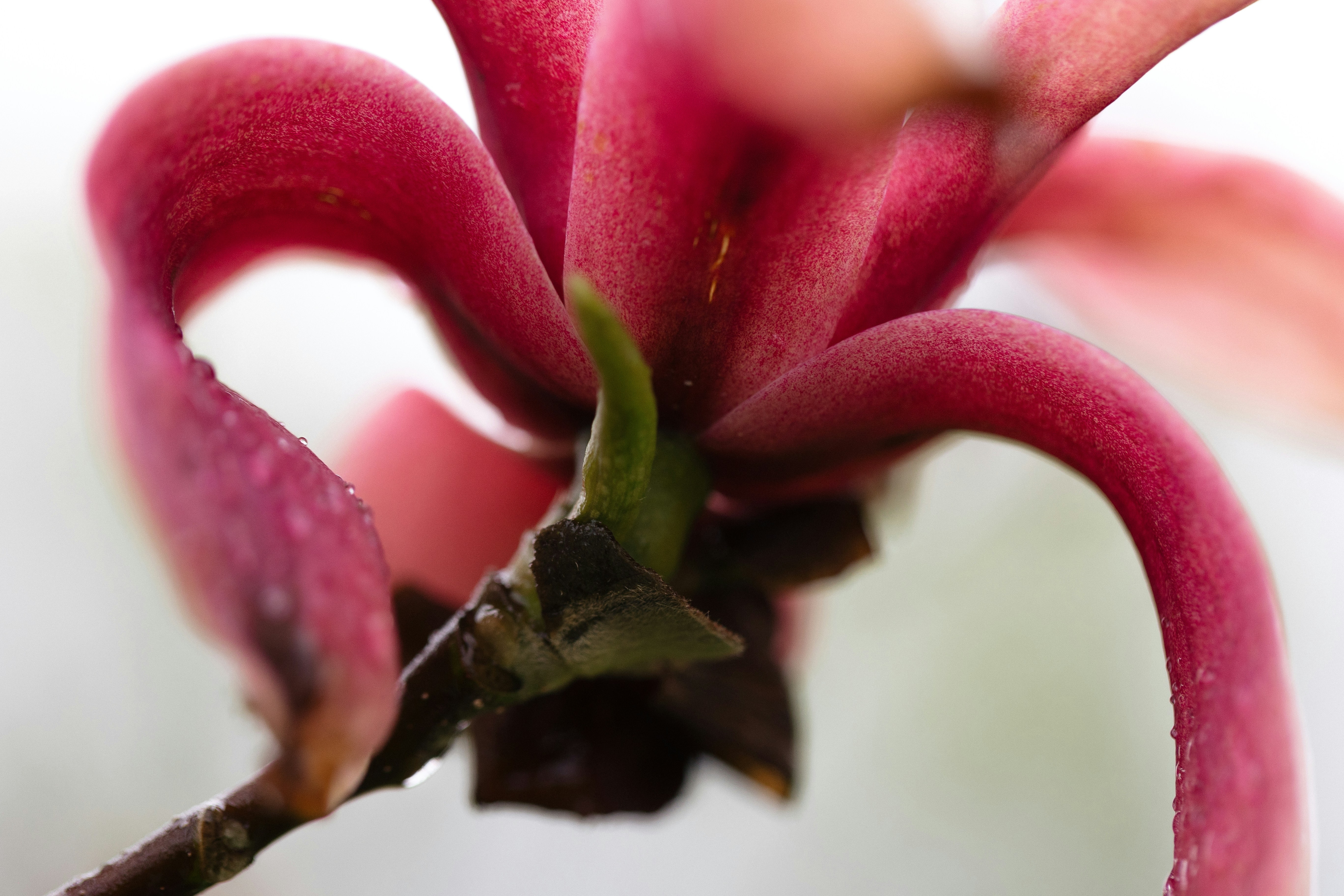 Photo by maddyhuntphoto