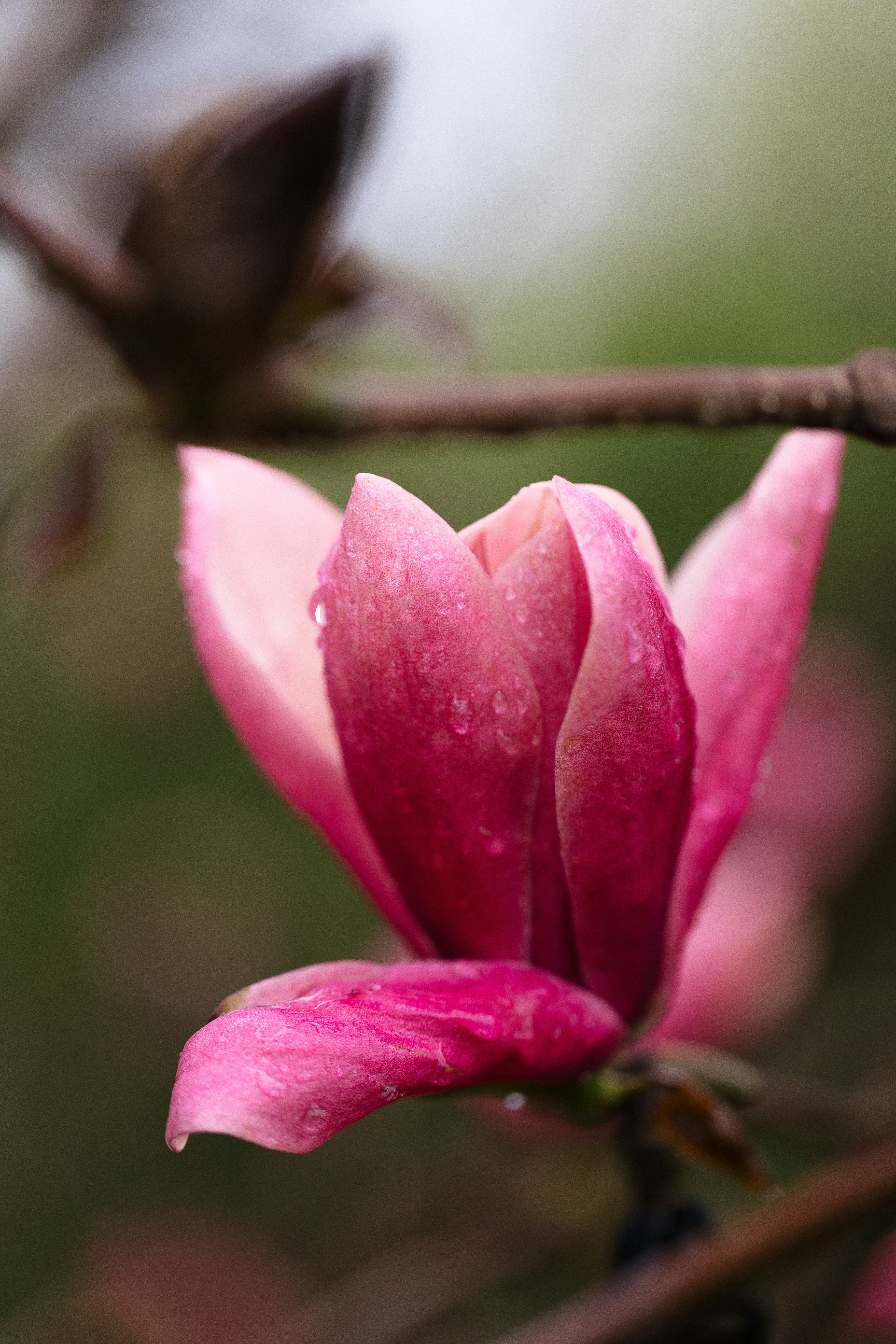 Photo by maddyhuntphoto