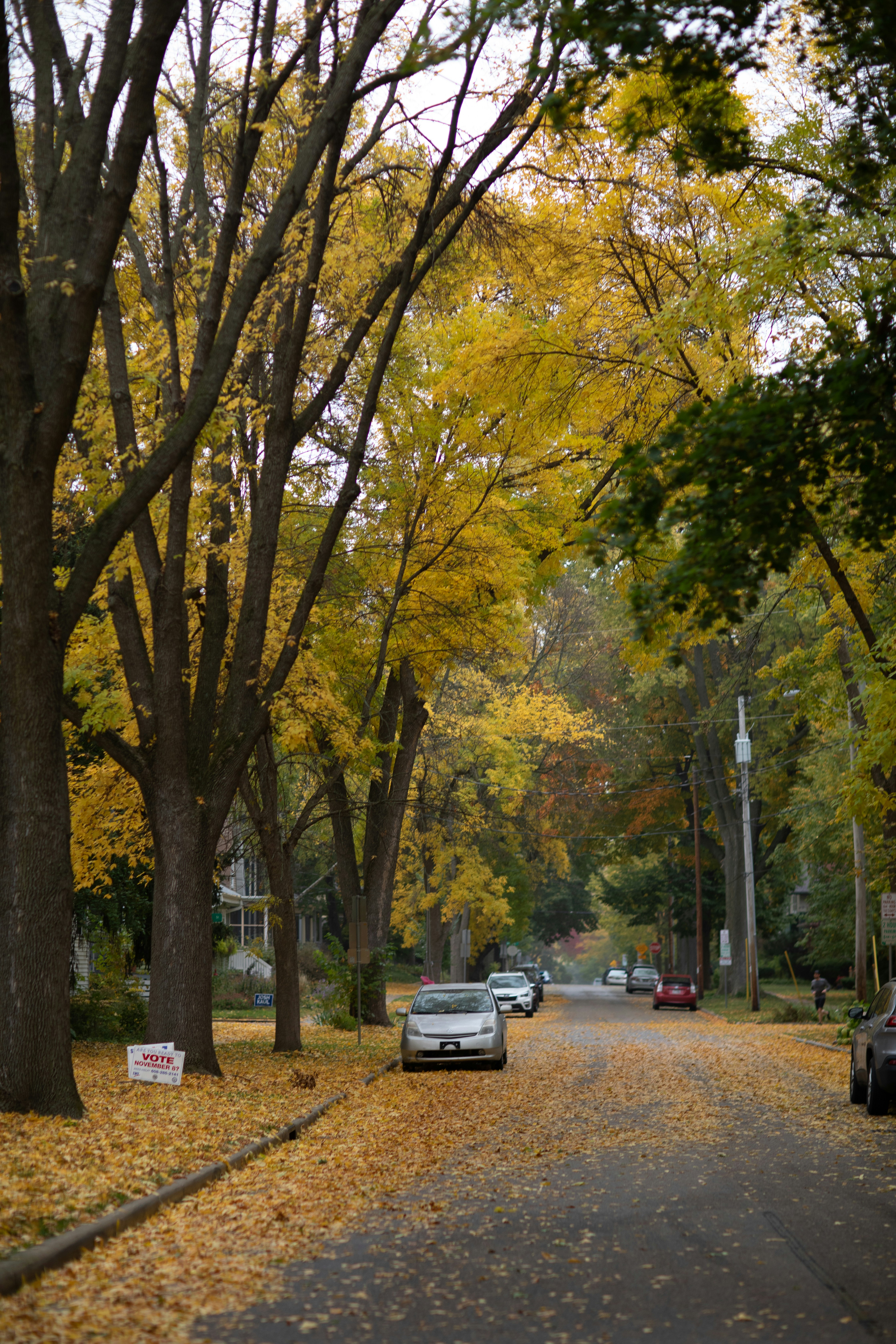 Photo by maddyhuntphoto