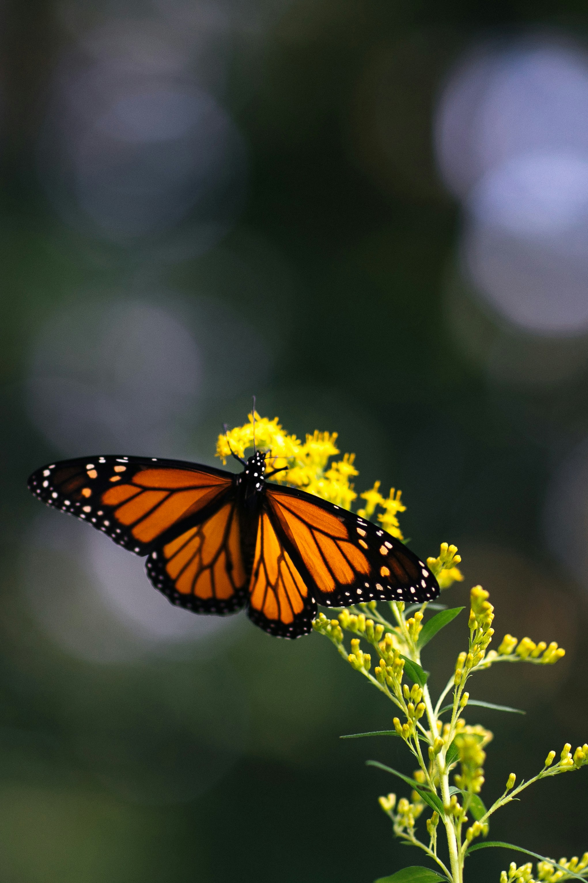 Photo by maddyhuntphoto