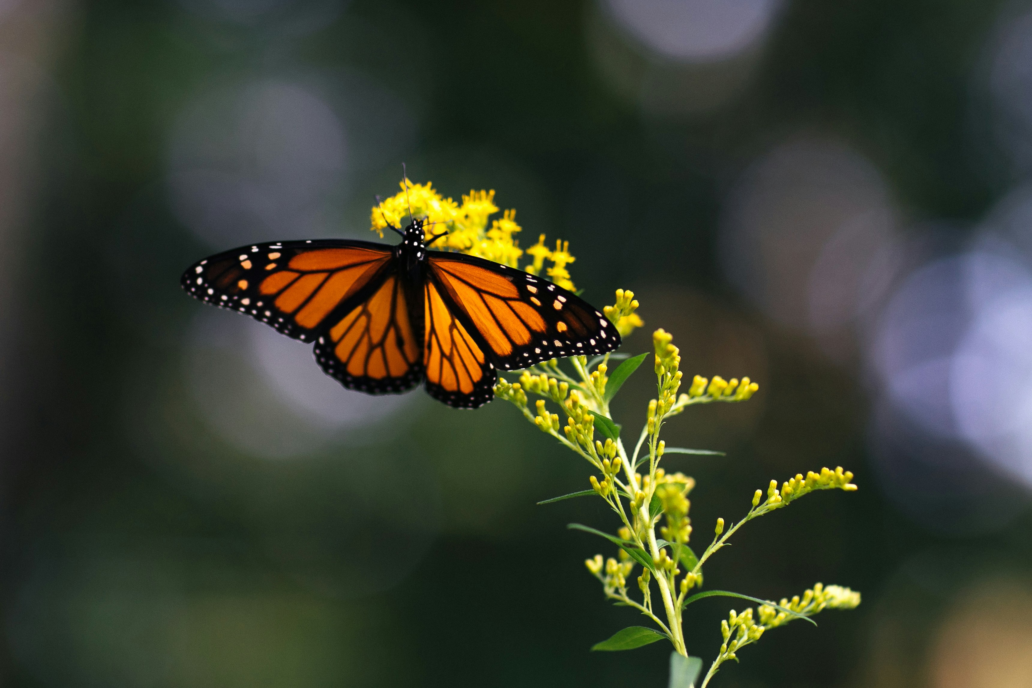 Photo by maddyhuntphoto