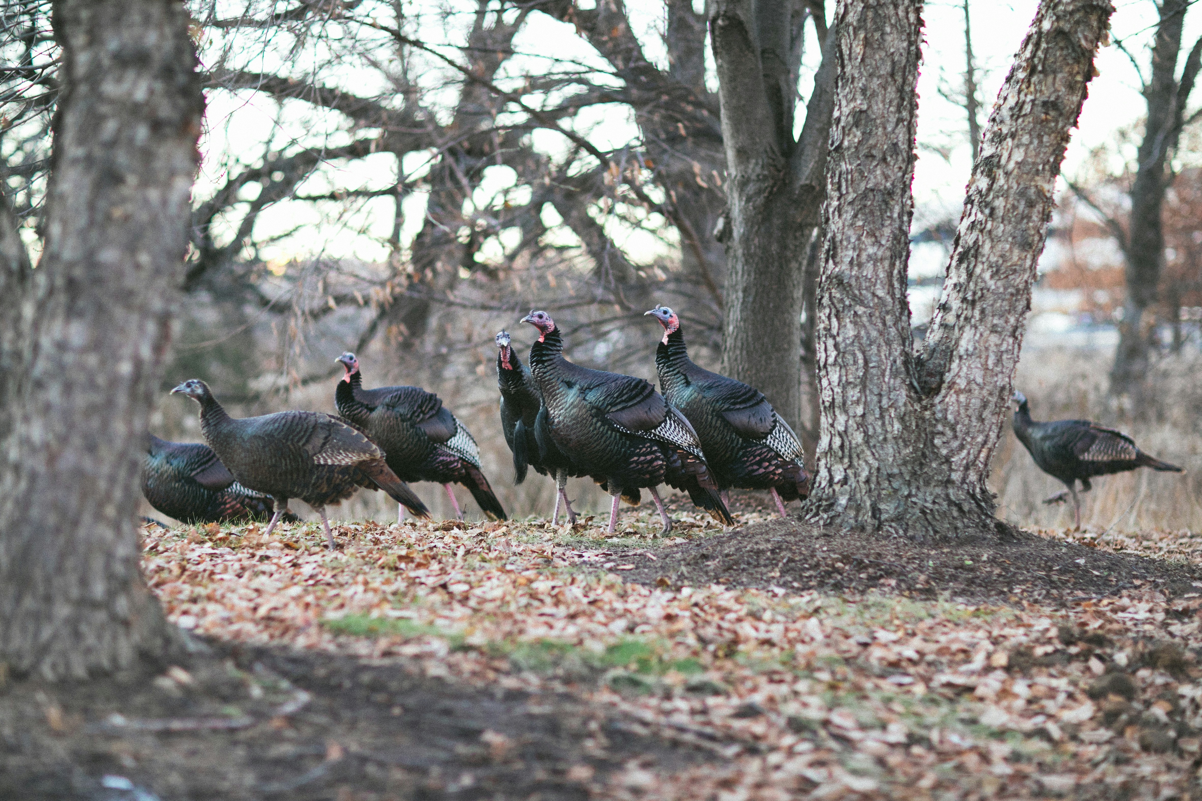 Maddy Hunt (@maddyhuntphoto) | Unsplashフォトコミュニティ