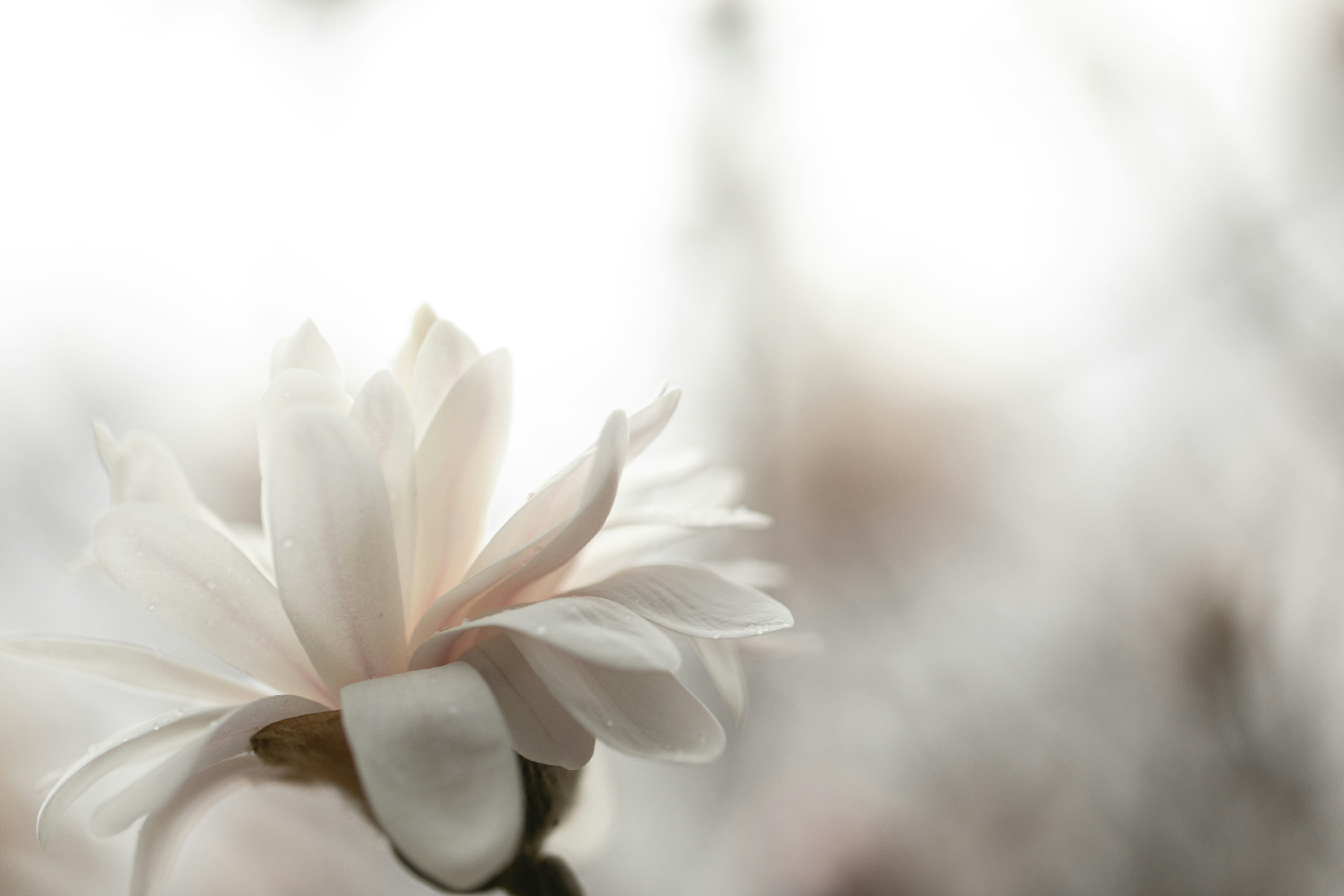 Photo by maddyhuntphoto