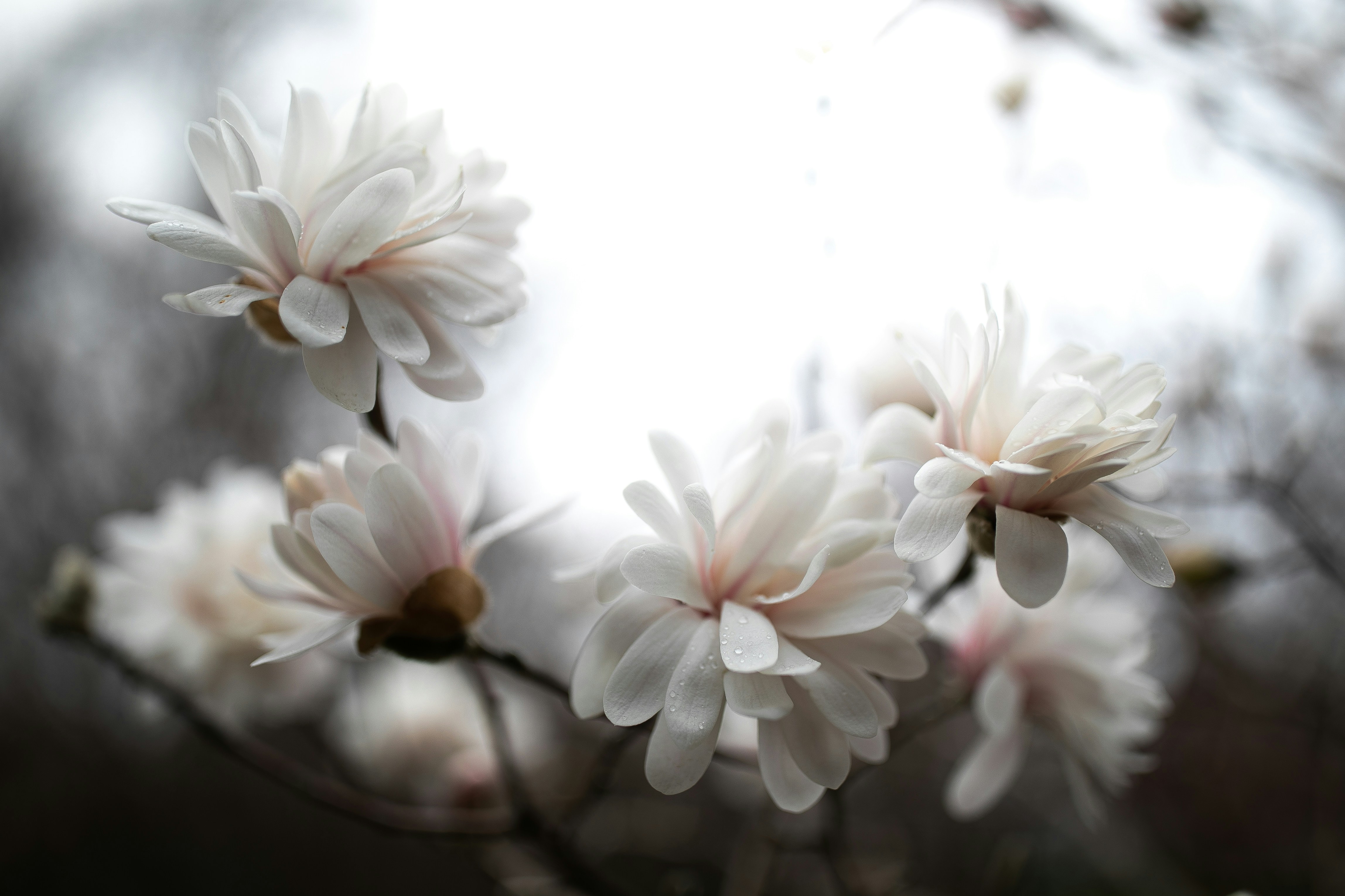 Discovering The Medications, Biologics, And Treatments For Rheumatoid Arthritis