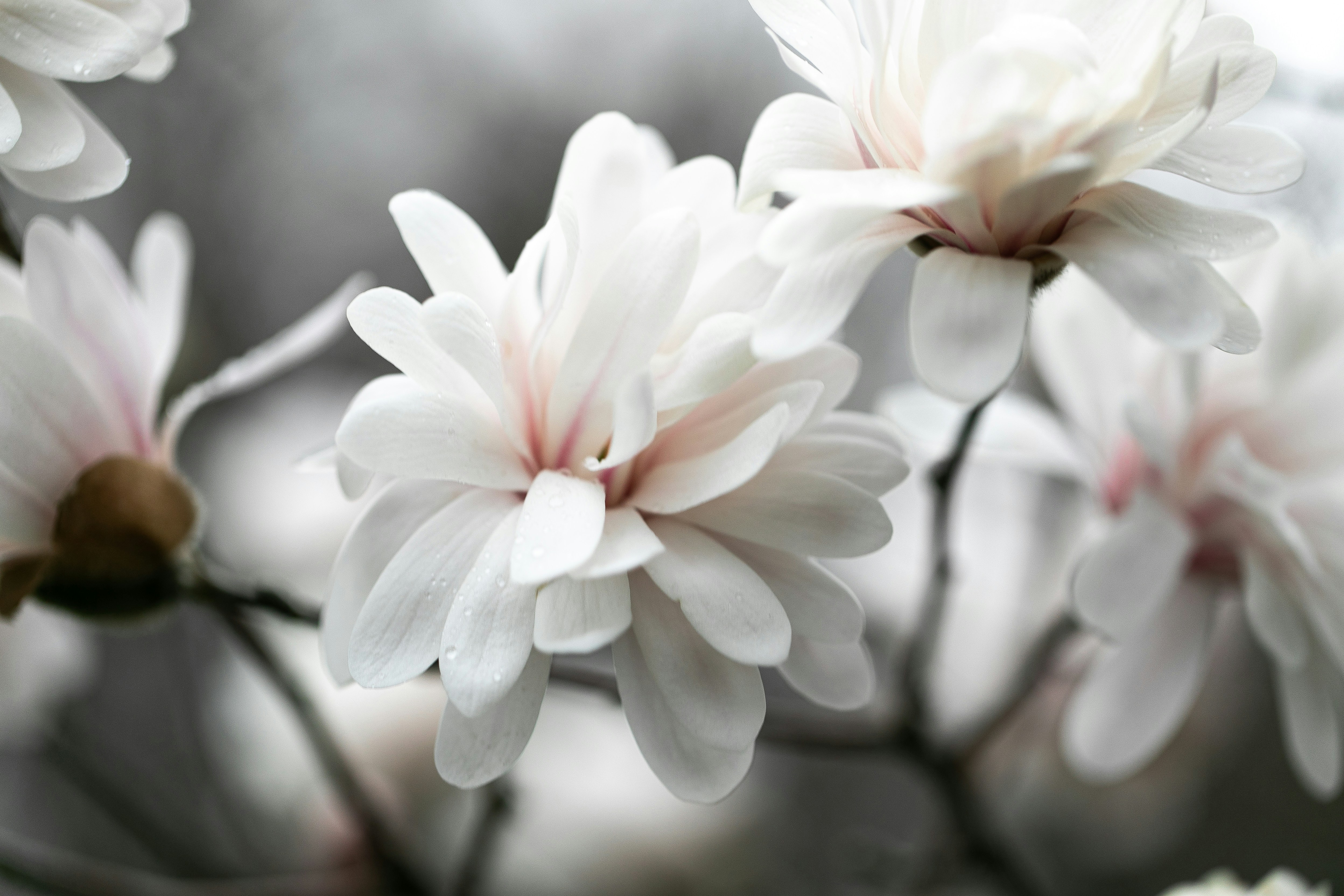 Photo by maddyhuntphoto