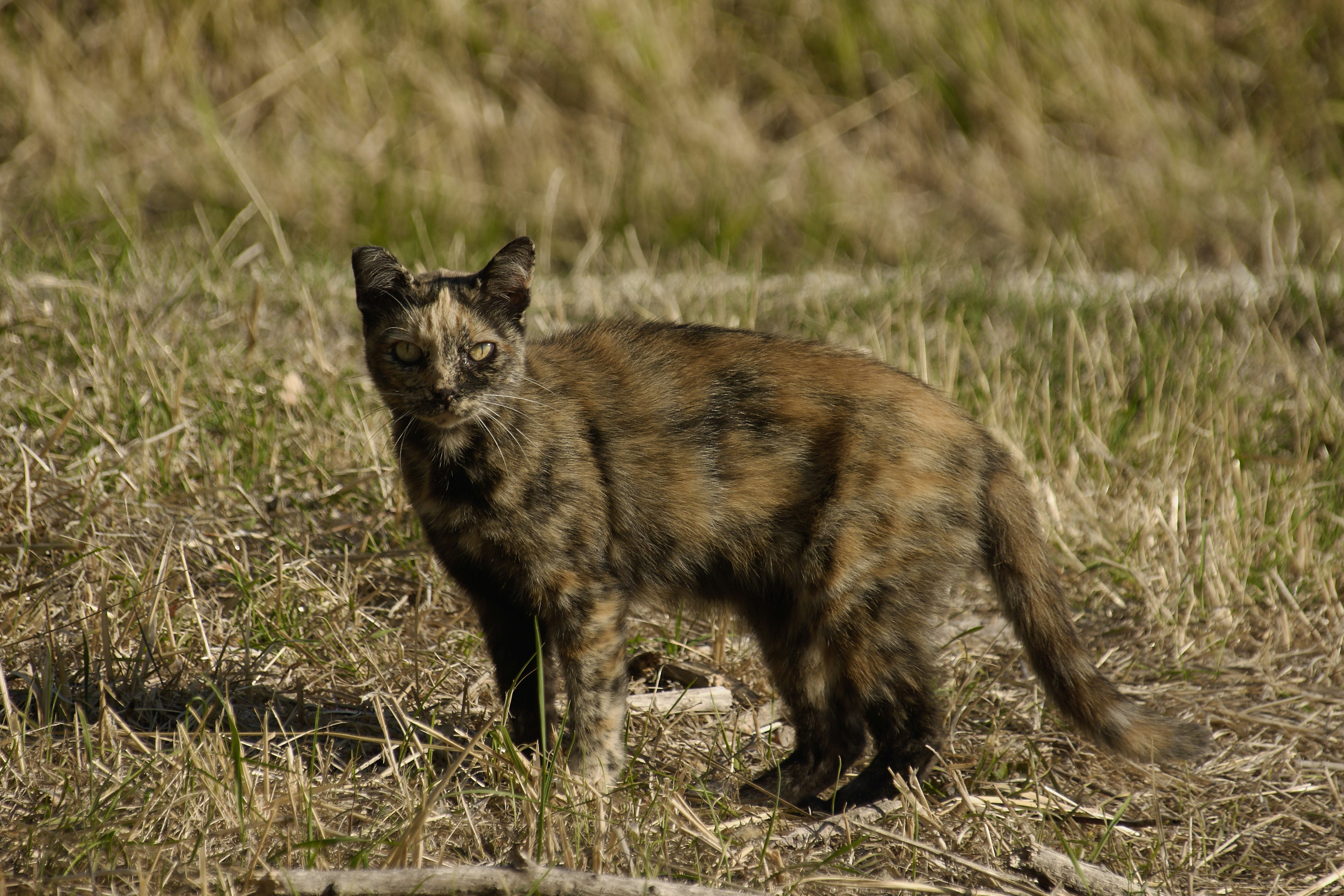 Photo by mariobeducci