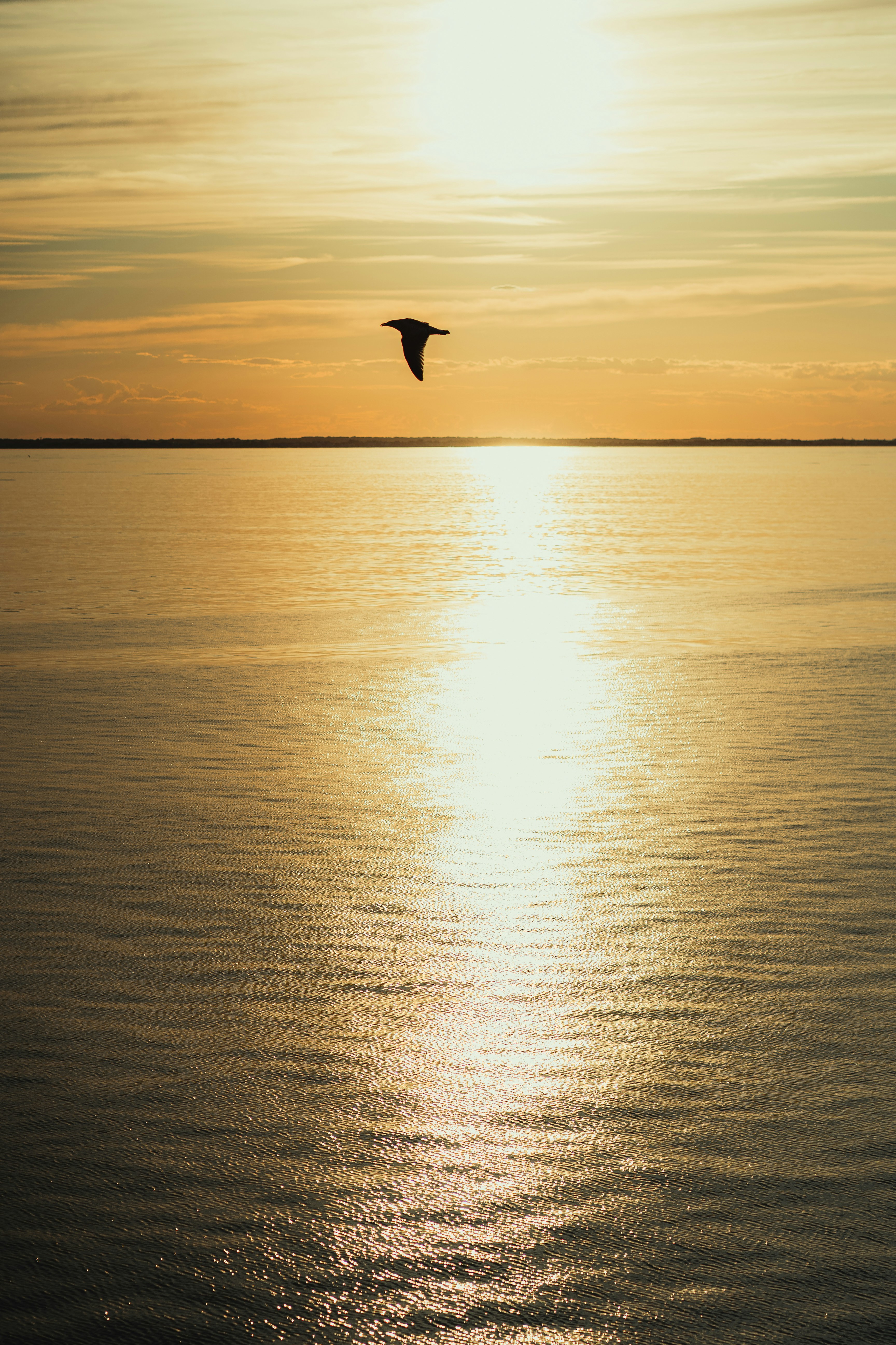 Photo by chrishardyphotography