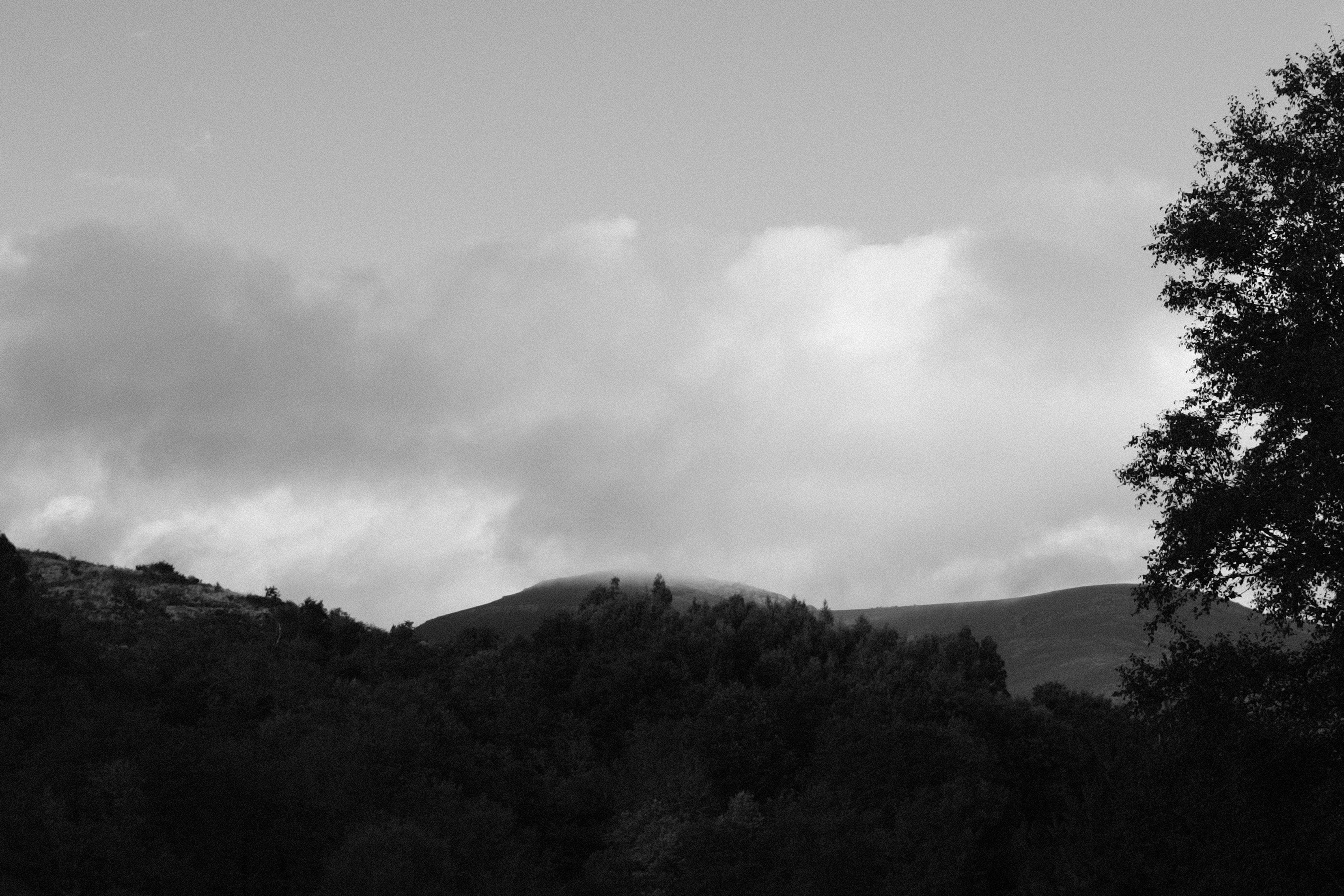 Photo by aperturevintage