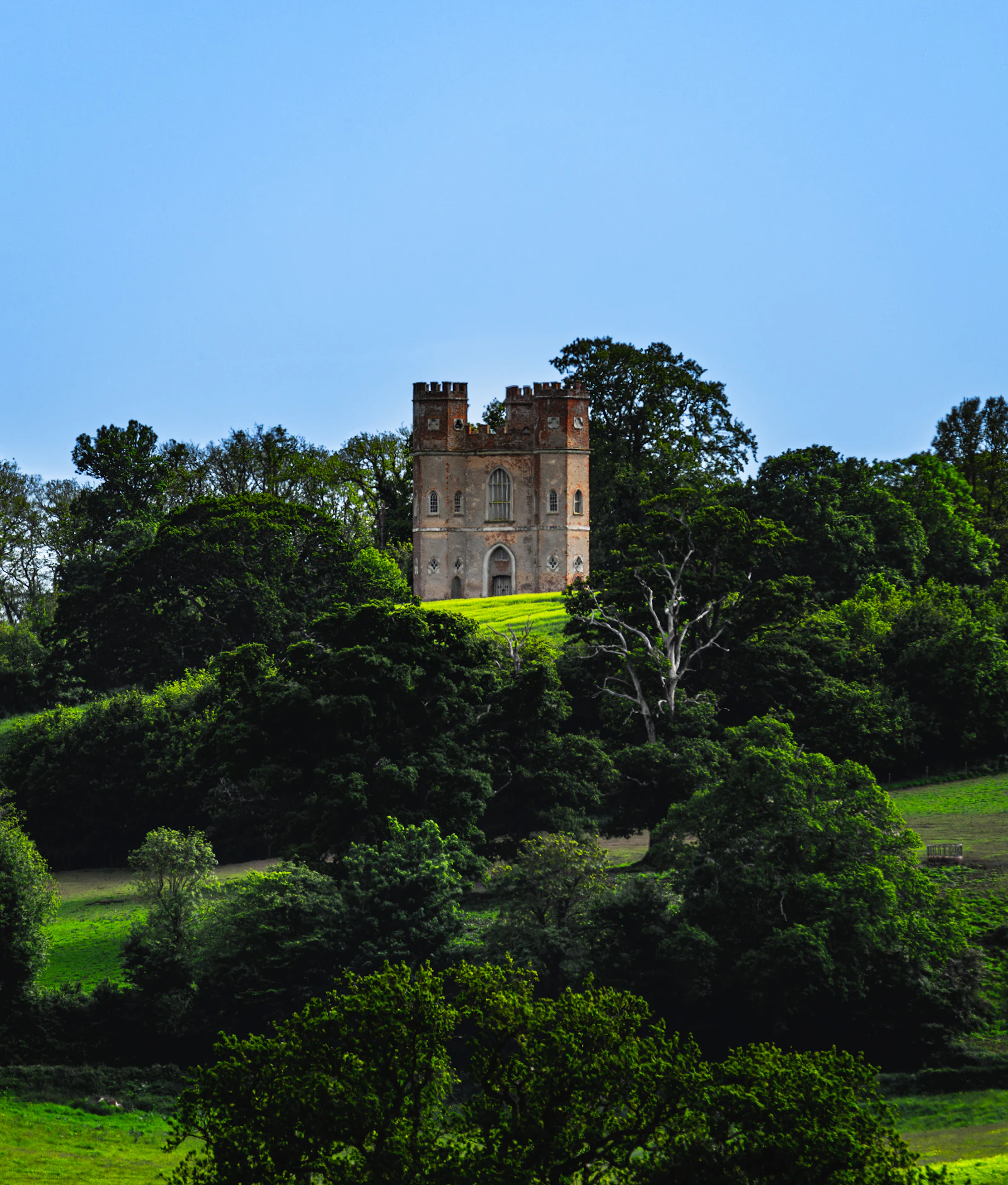 Tour médiévale en pierre dominant un parc arboré (image d'illustration)