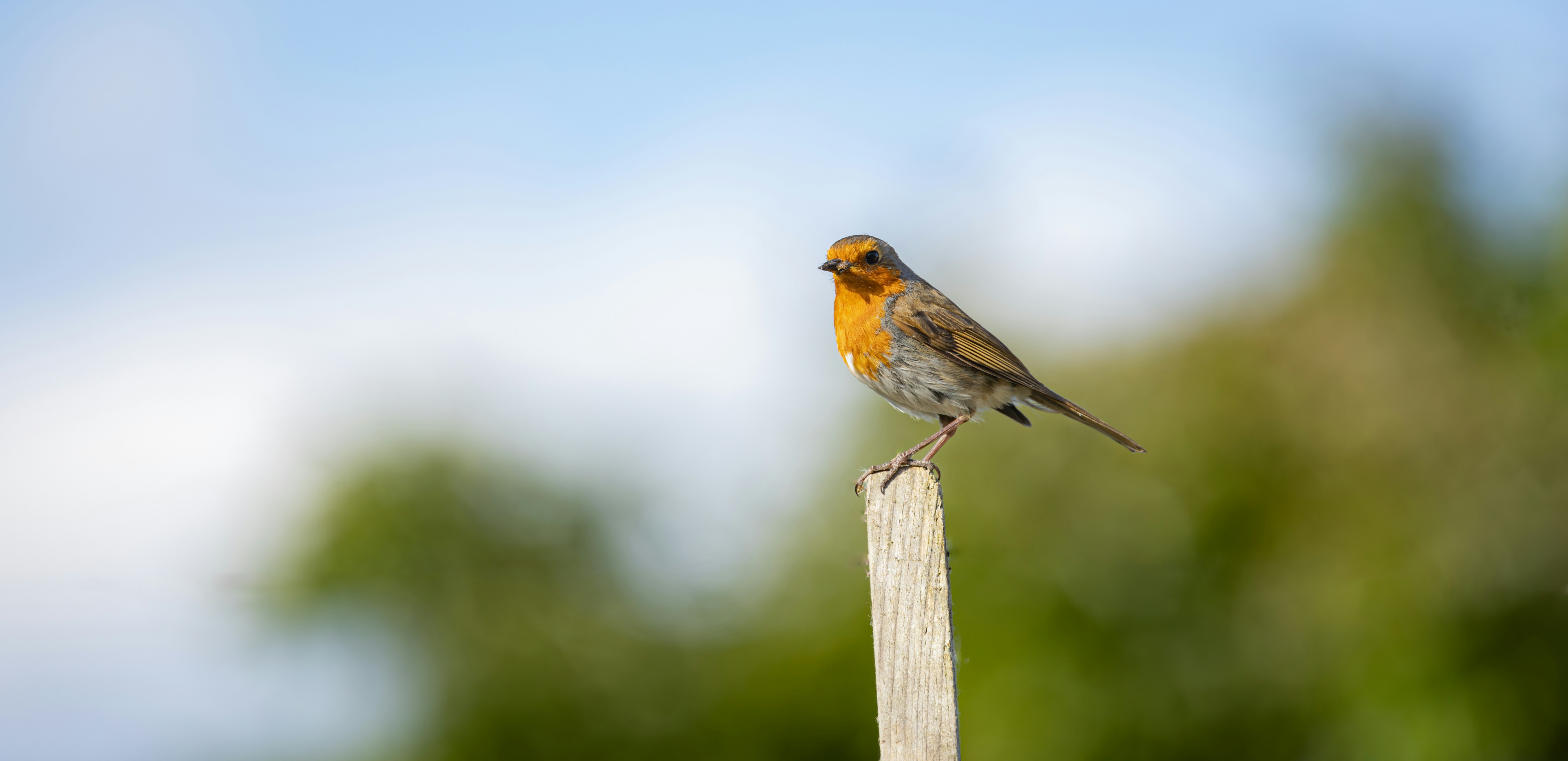 Photo by anthonyjames_f8