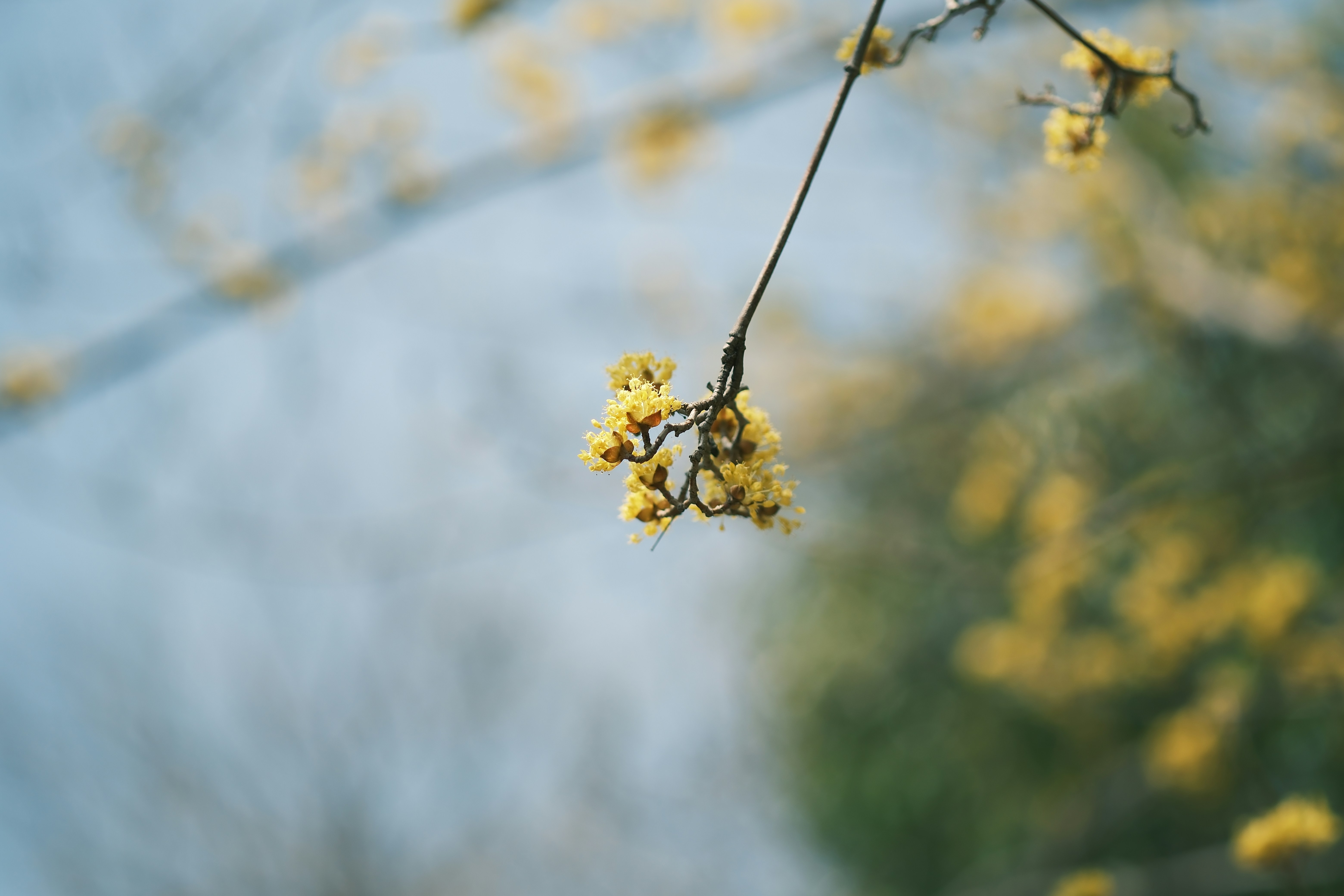 Photo by h281994
