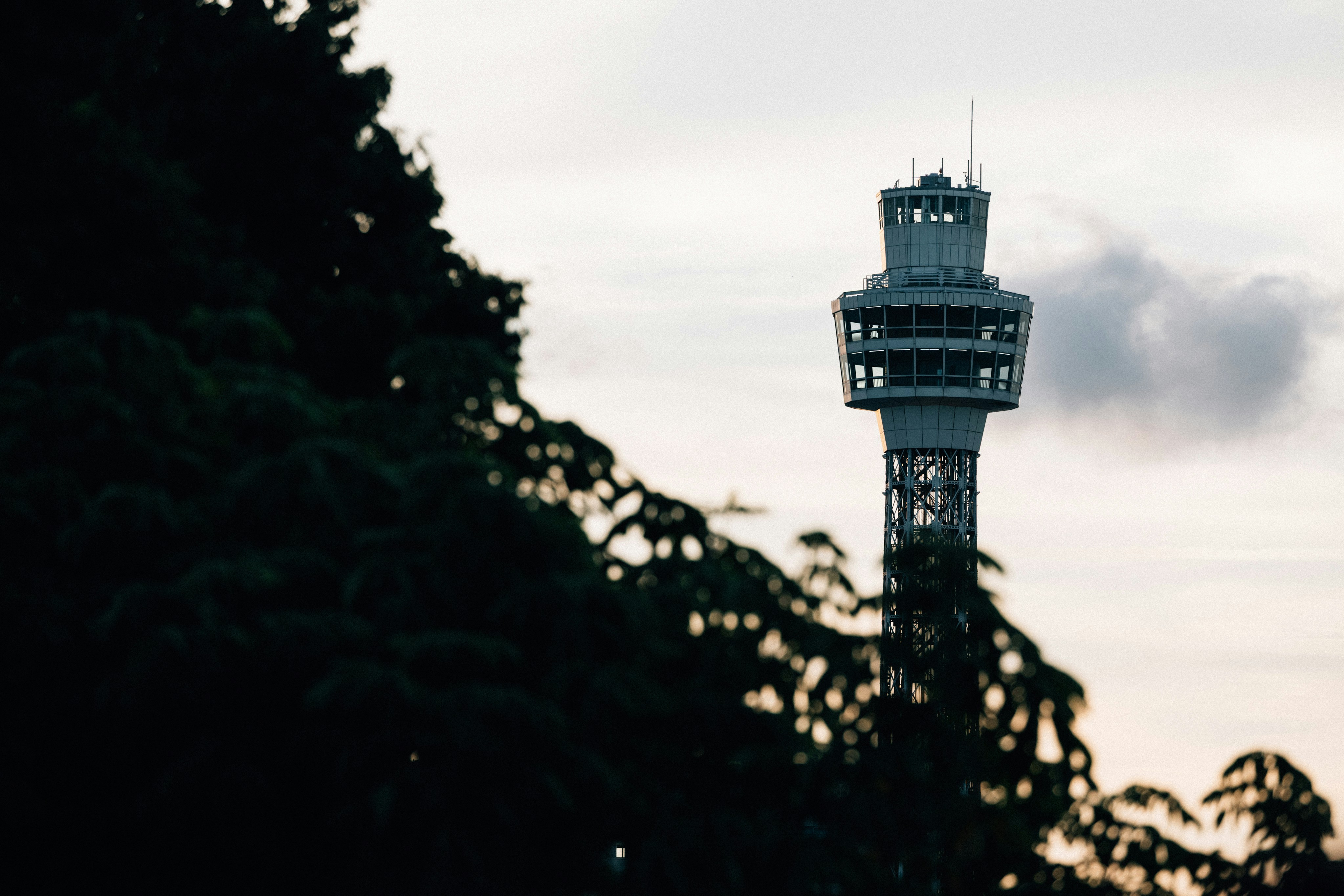 Photo by tsuyoshikozu