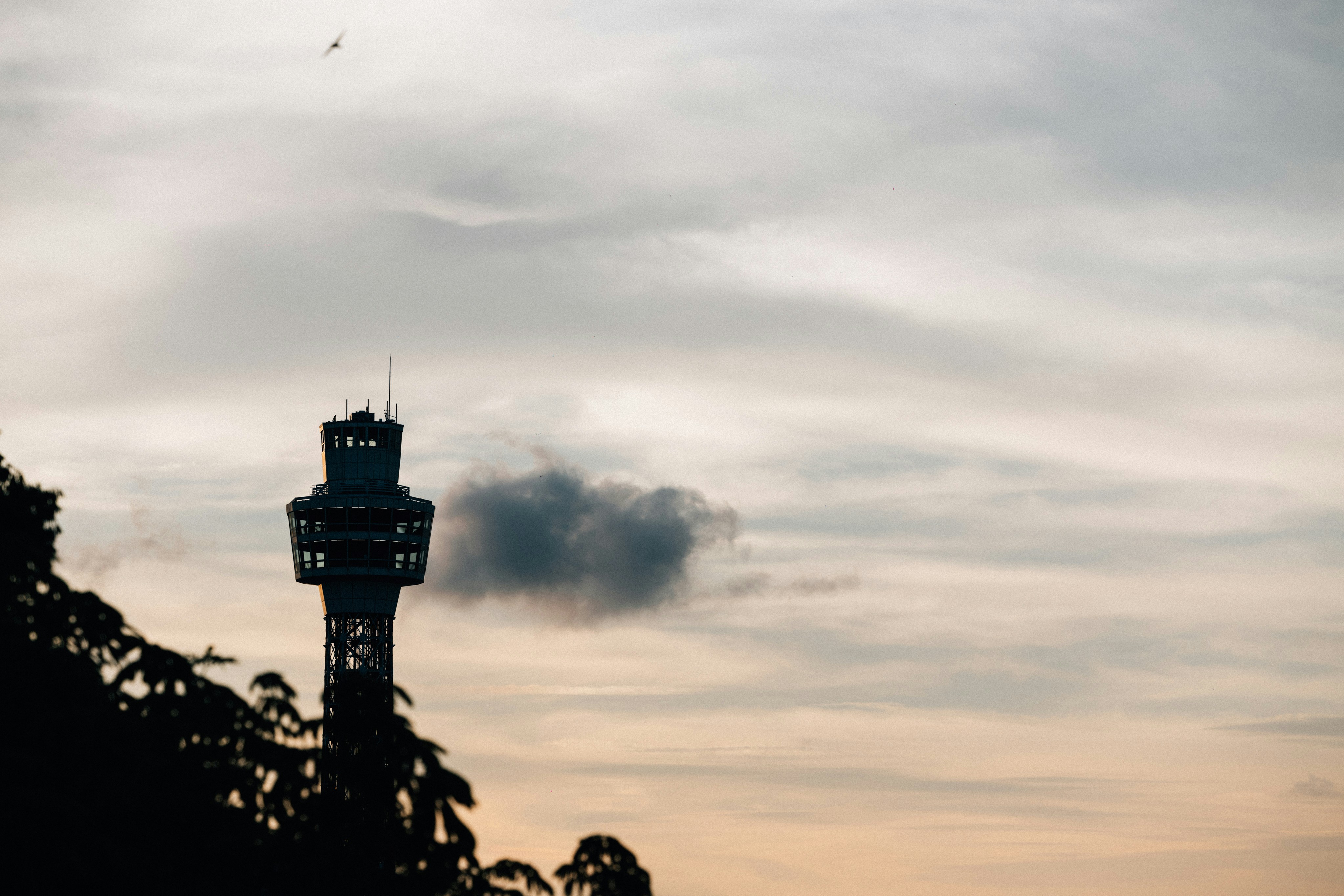 Photo by tsuyoshikozu