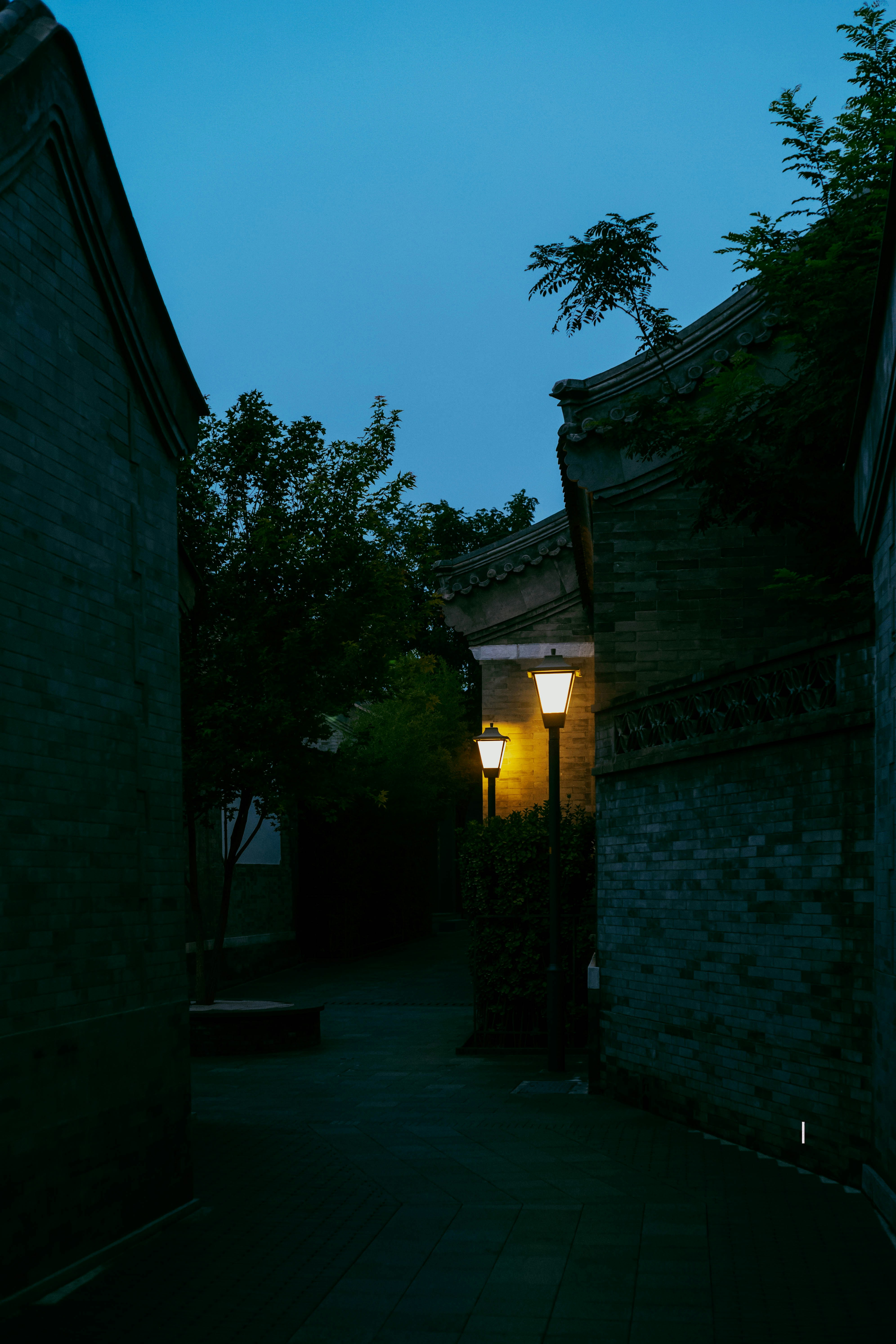 Photo by tommaomaoer