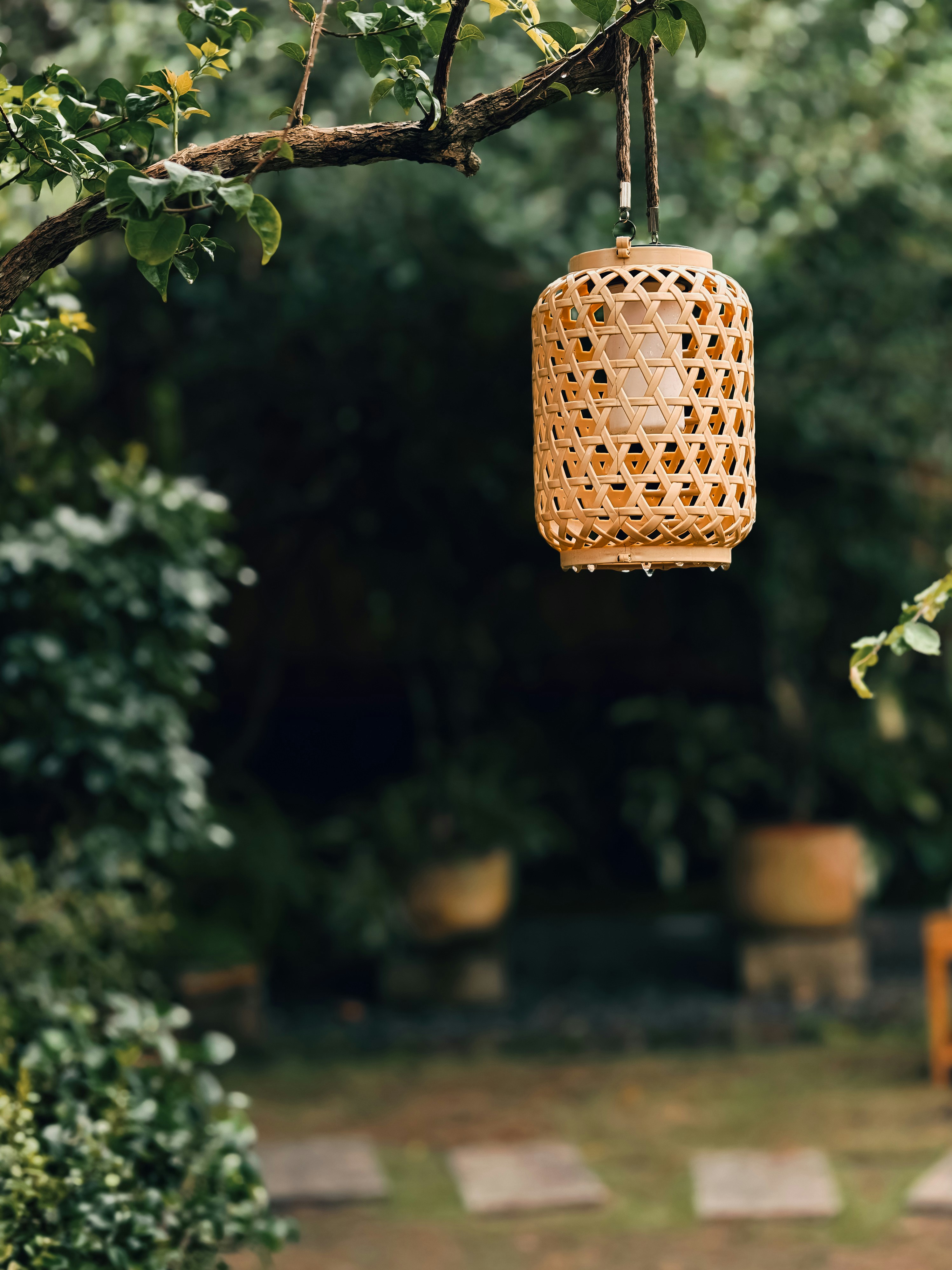 Photo by vitconmobile