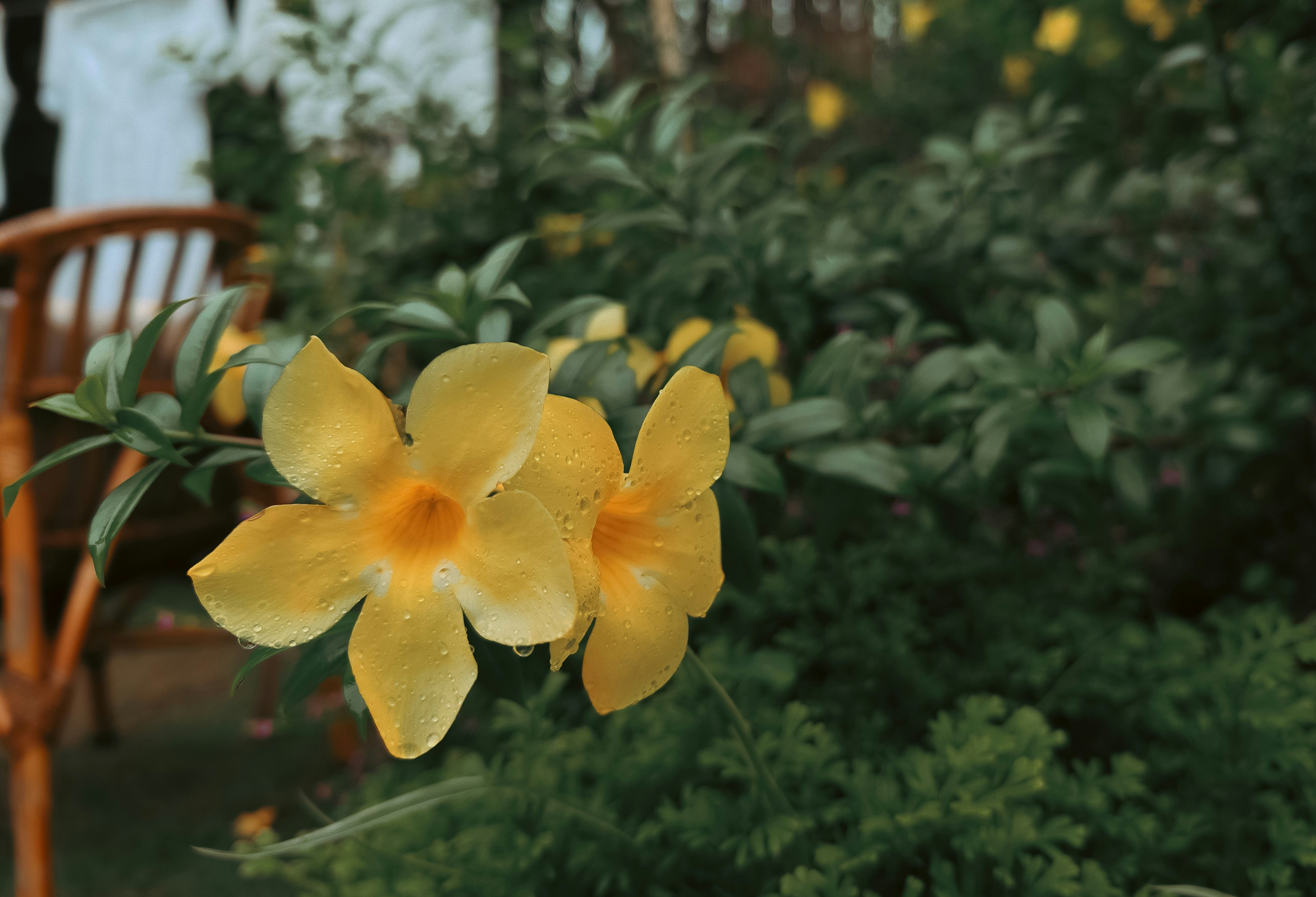 Photo by vitconmobile